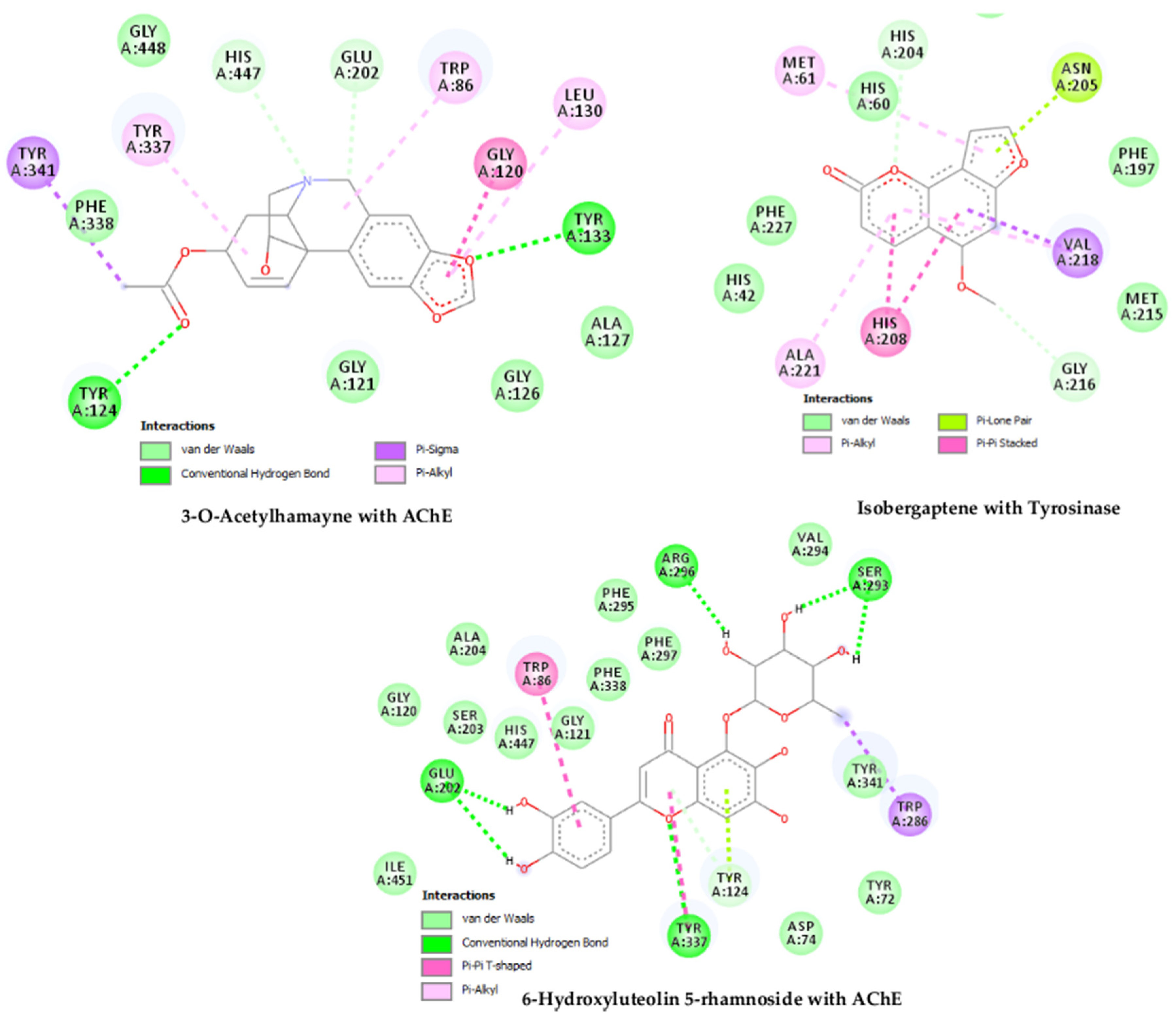 Processes 08 00336 g002