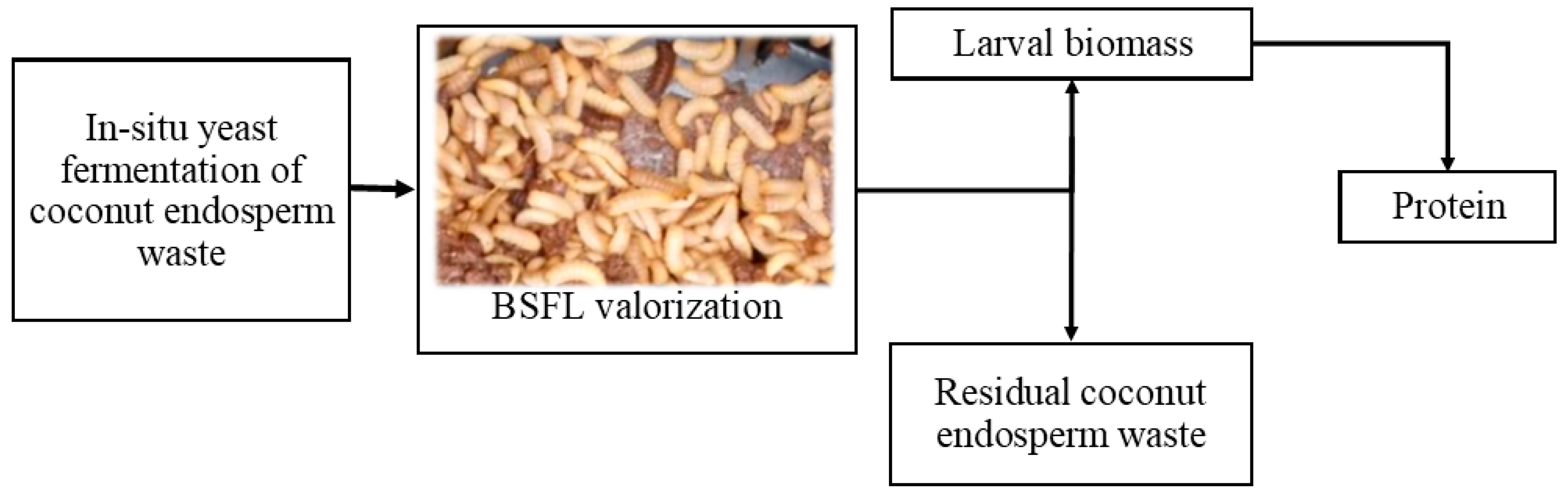 Processes 08 00337 g001