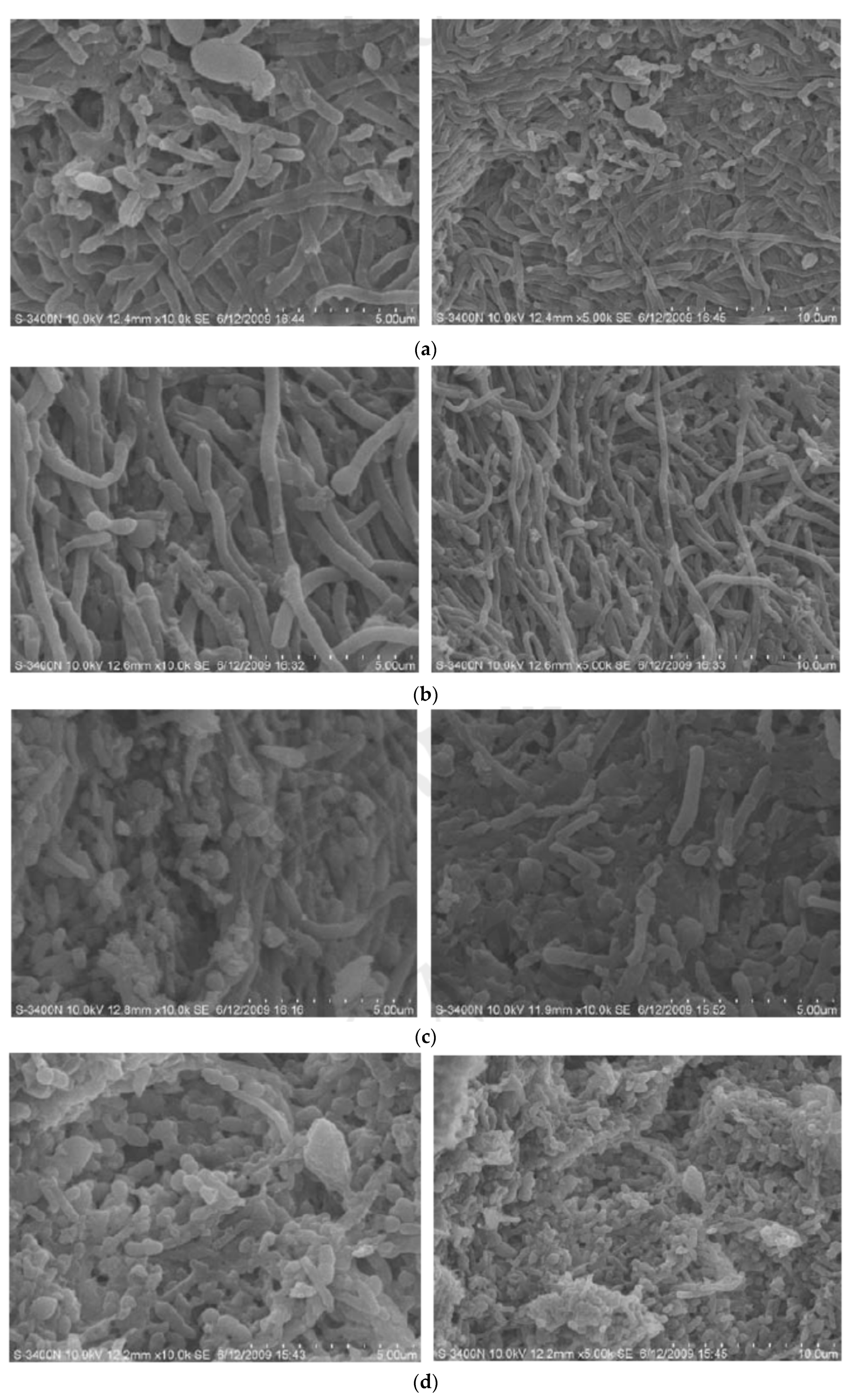 Processes 08 00339 g003