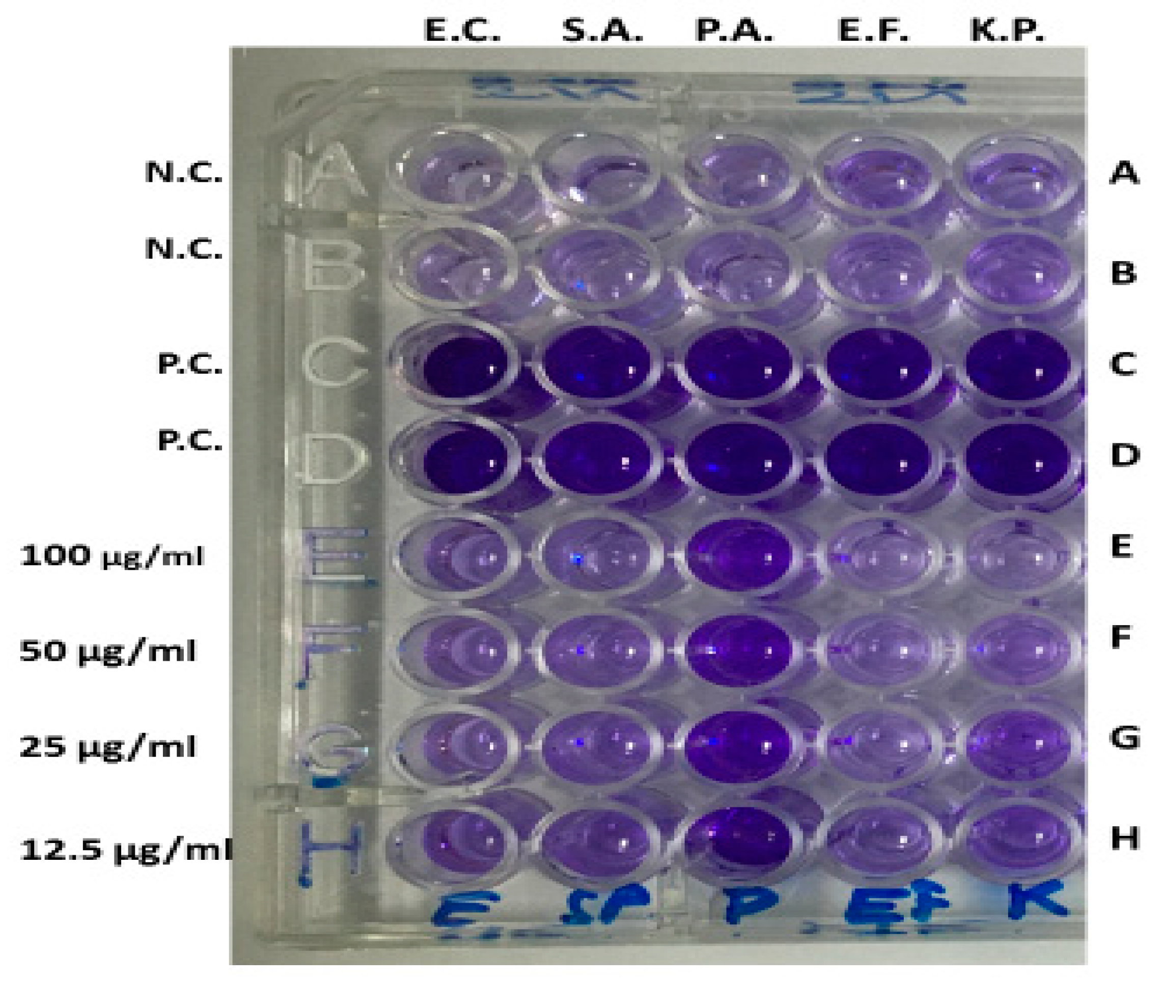 Processes 08 00388 g006