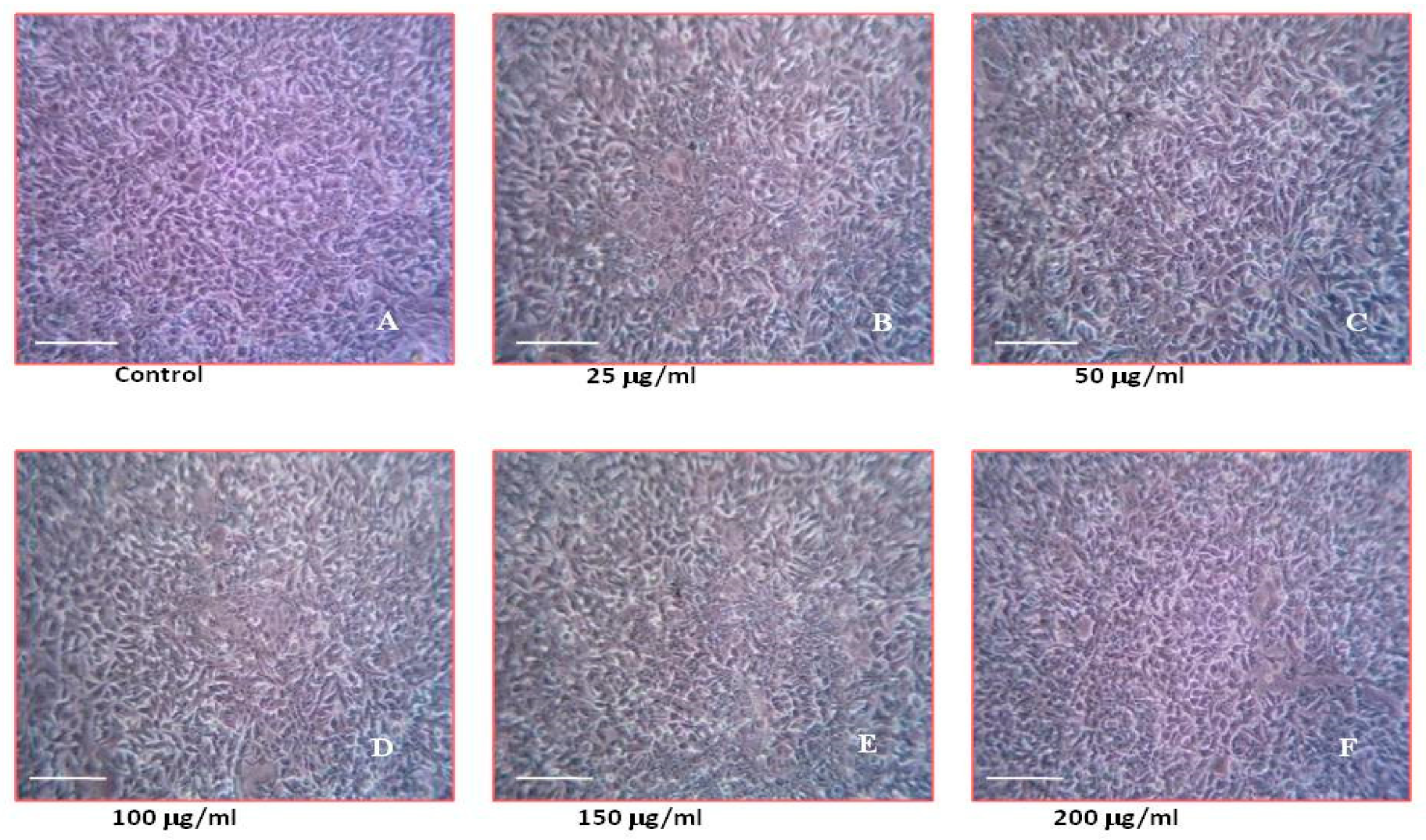 Processes 08 00388 g008