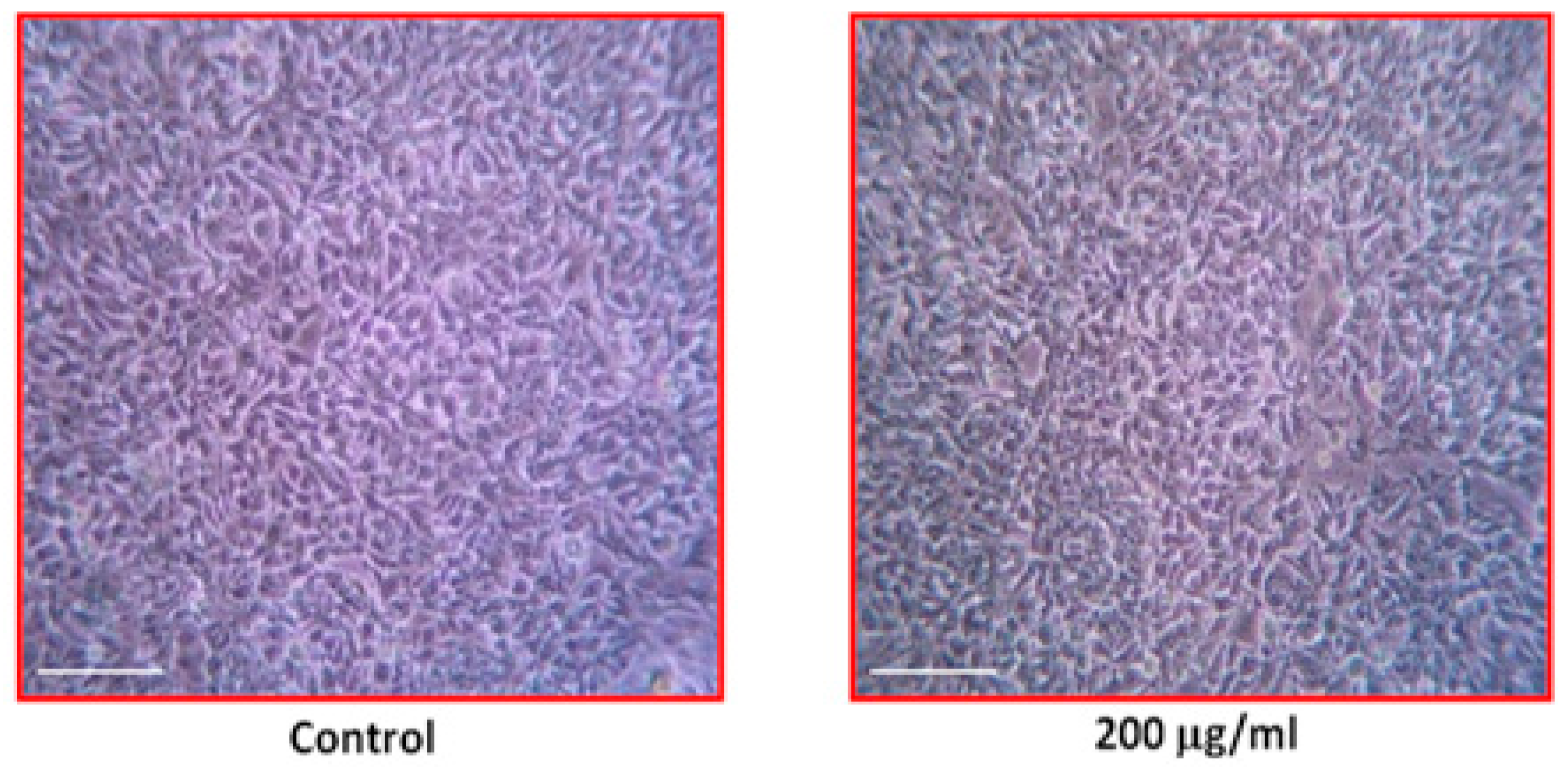 Processes 08 00388 g009