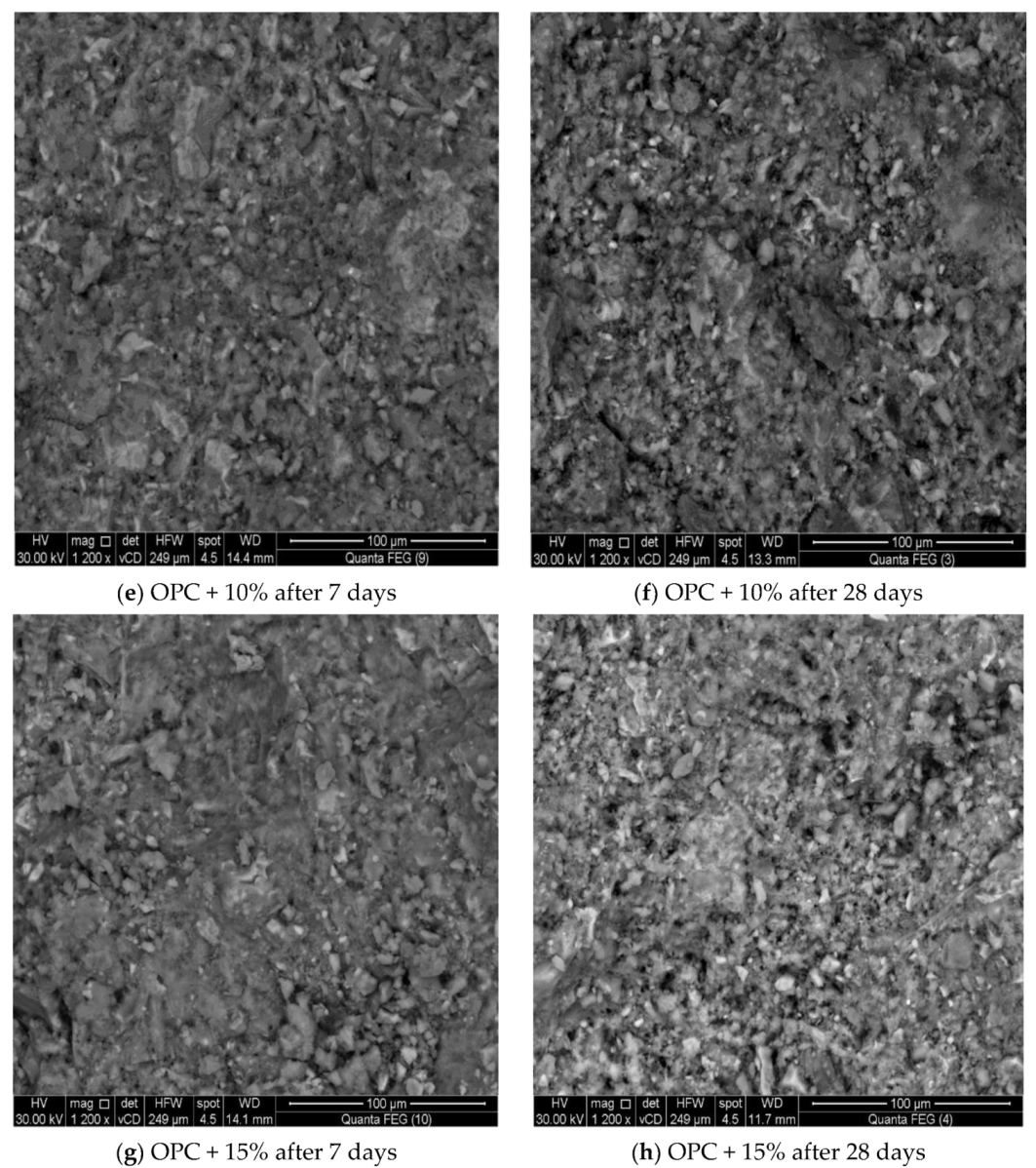 Processes 08 00401 g006b