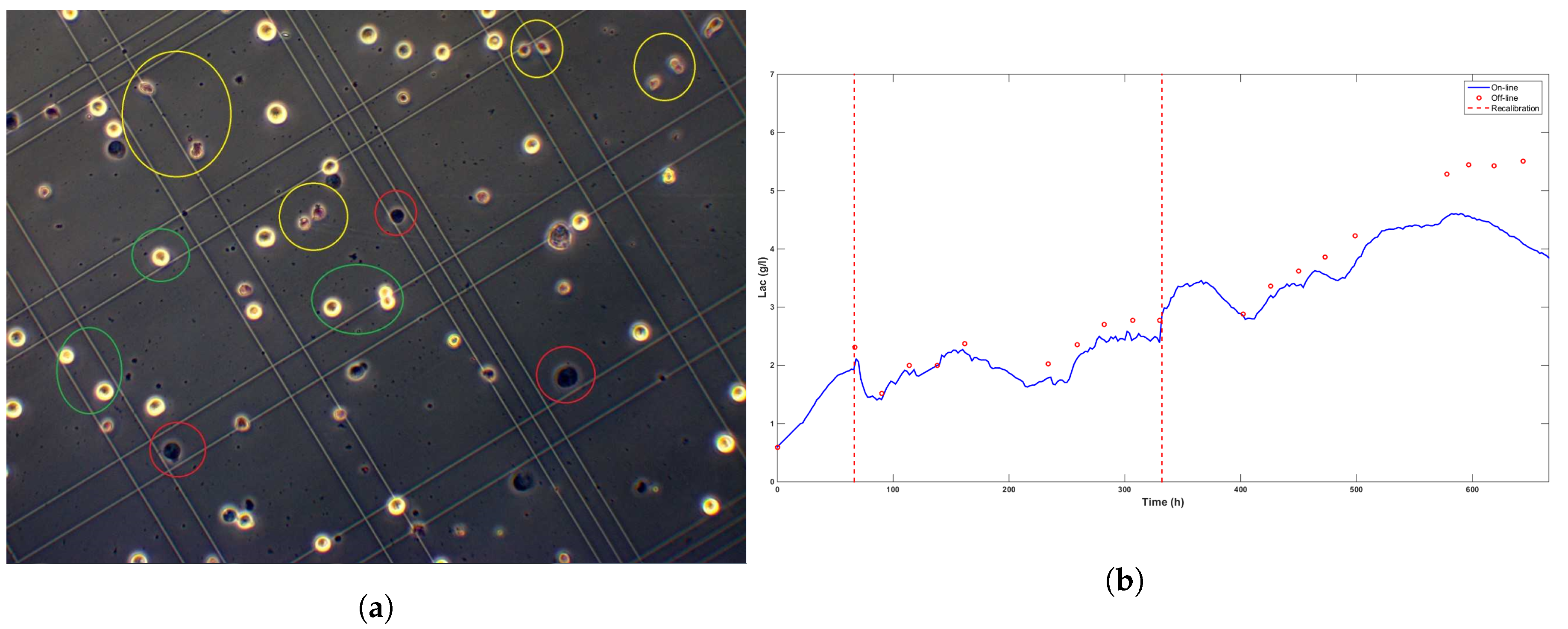 Processes 08 00413 g007