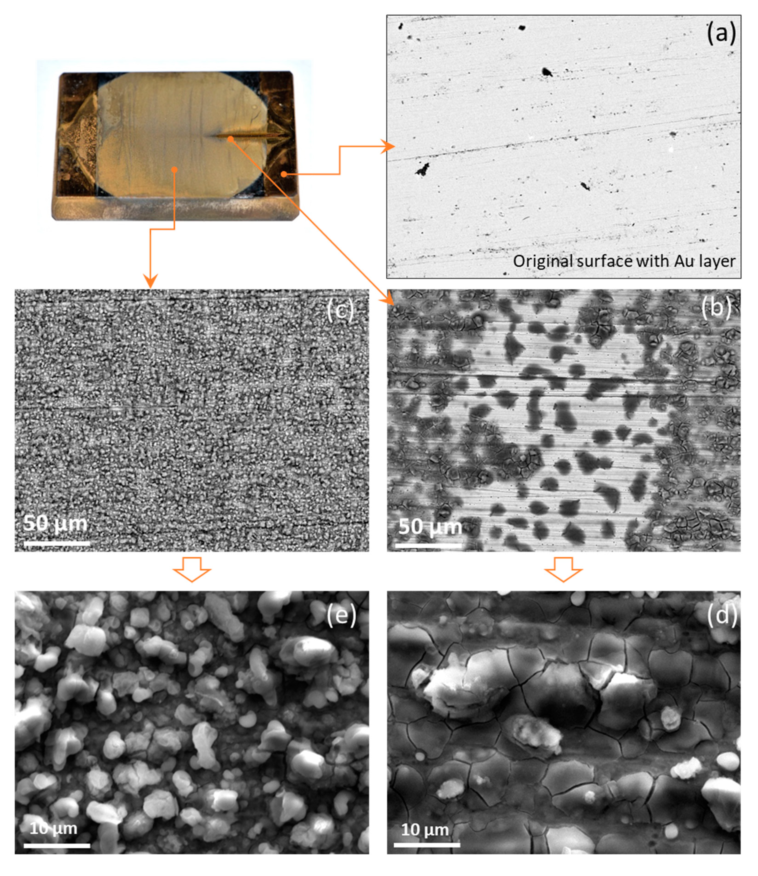 Processes 08 00421 g008