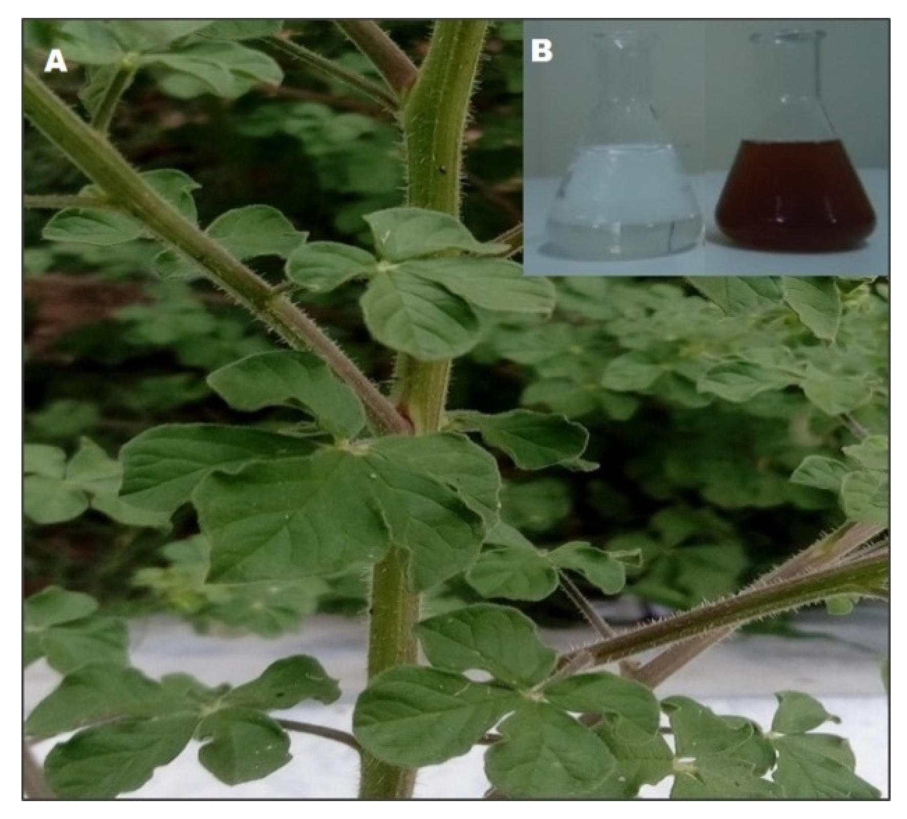 Processes 08 00430 g001