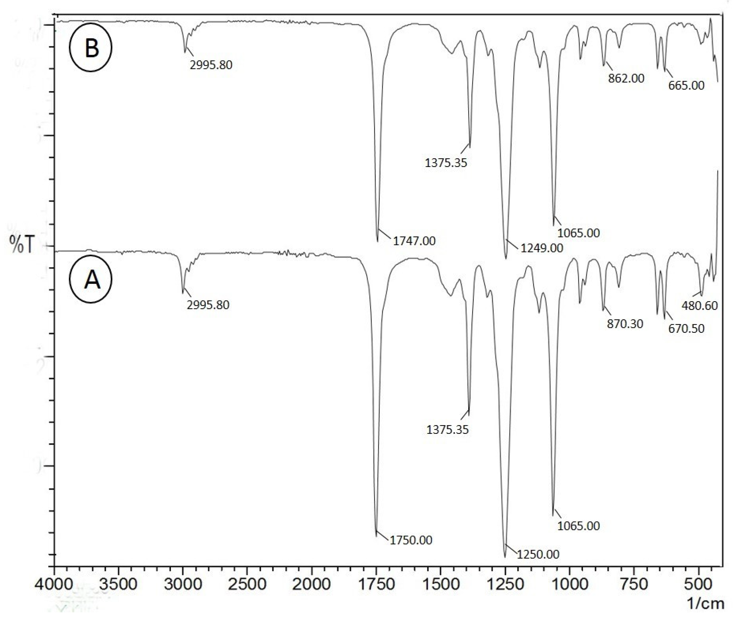 Processes 08 00430 g005