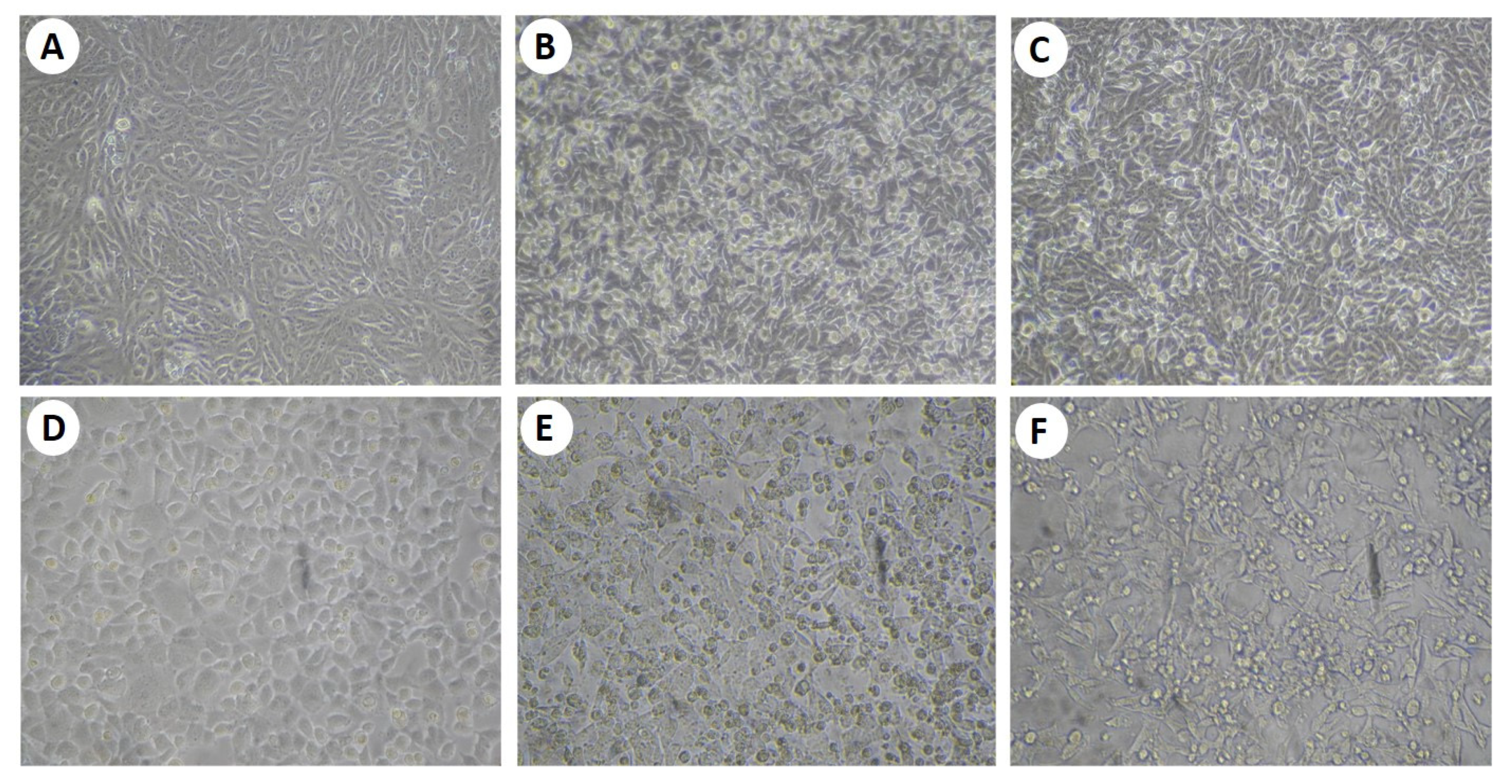 Processes 08 00430 g009