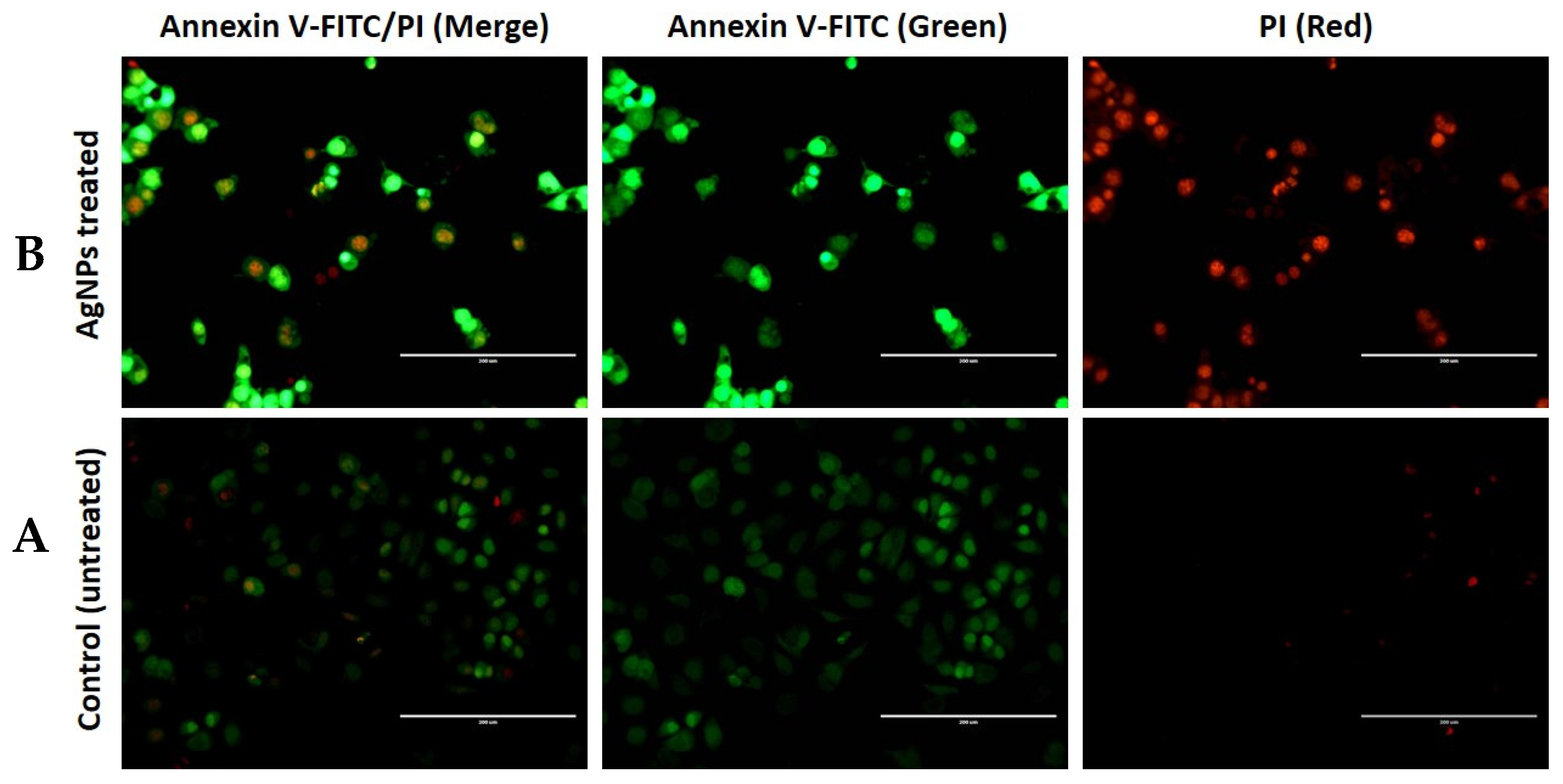 Processes 08 00430 g010