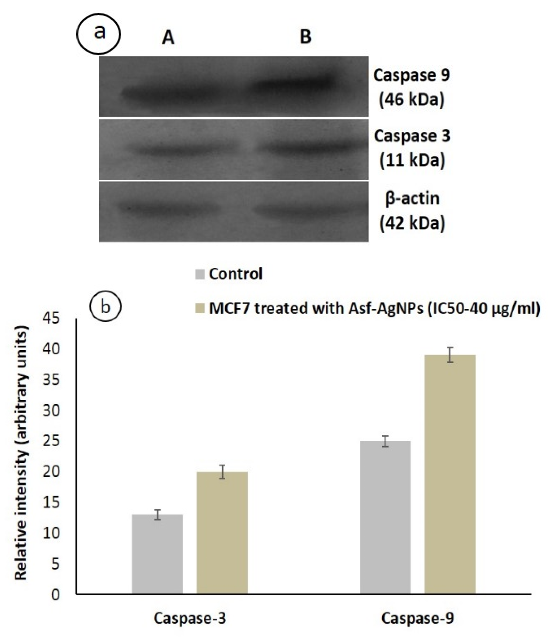 Processes 08 00430 g012