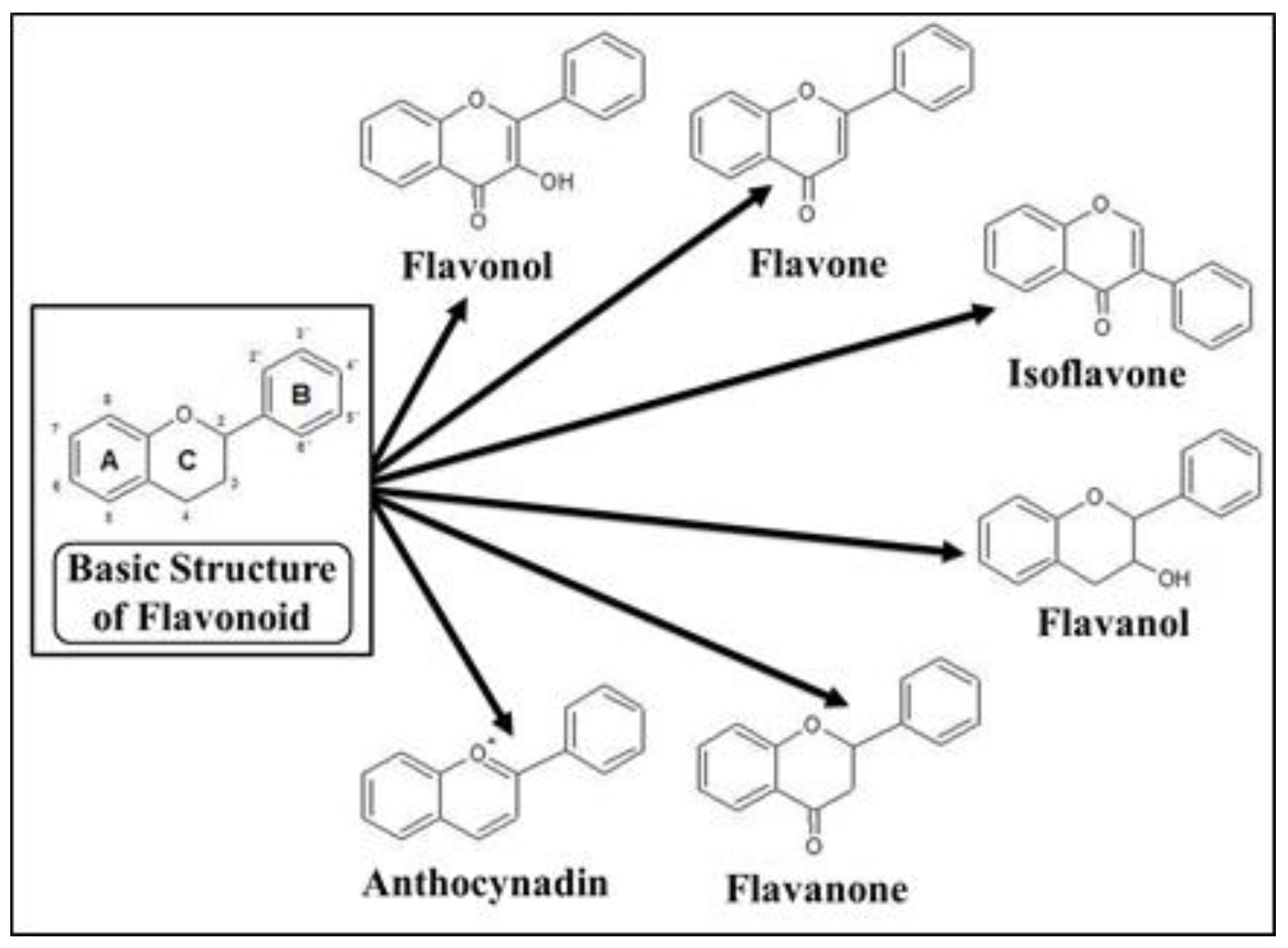 Processes 08 00434 g001 Processes 08 00434 g001
