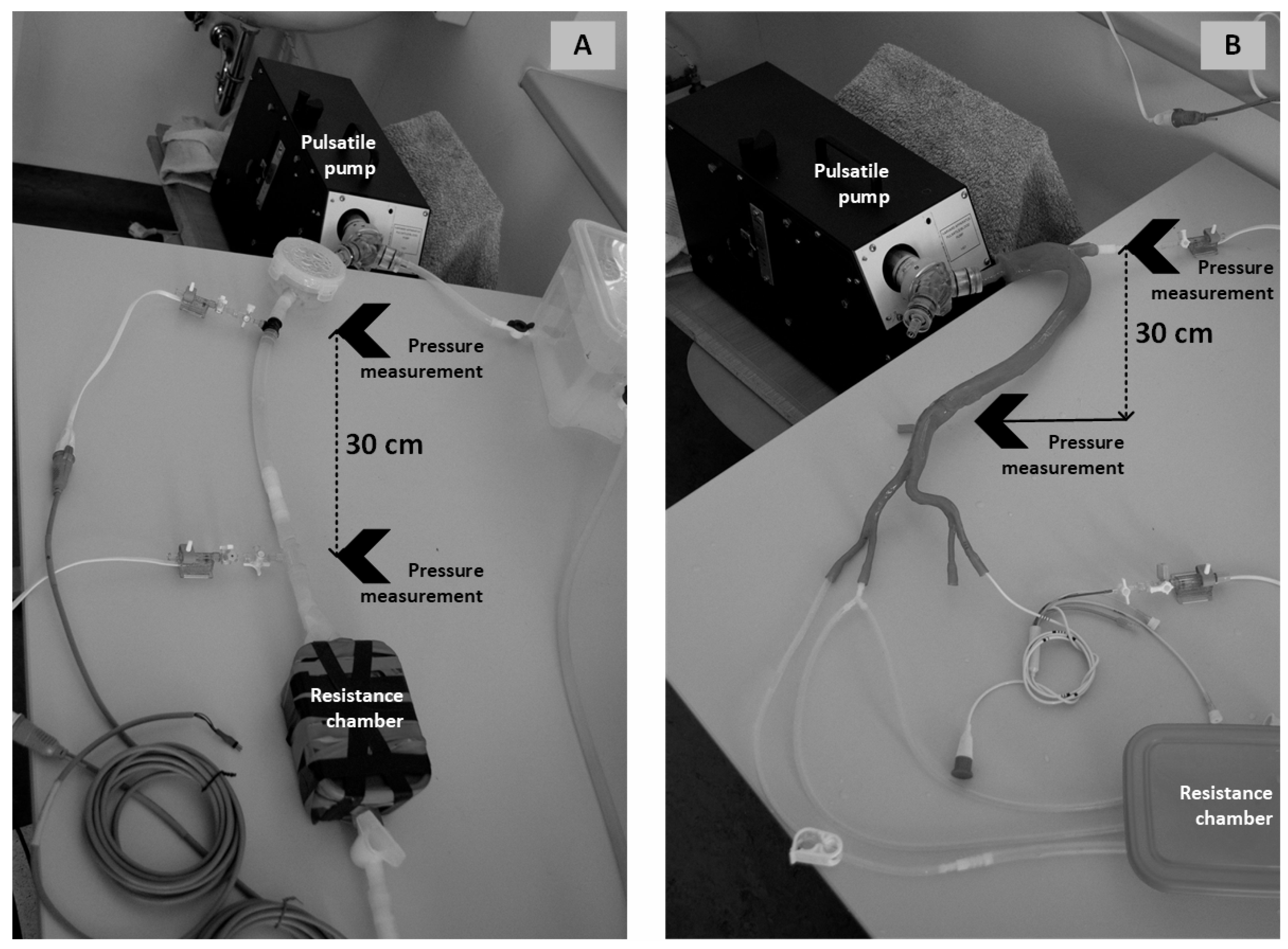 Processes 08 00442 g001