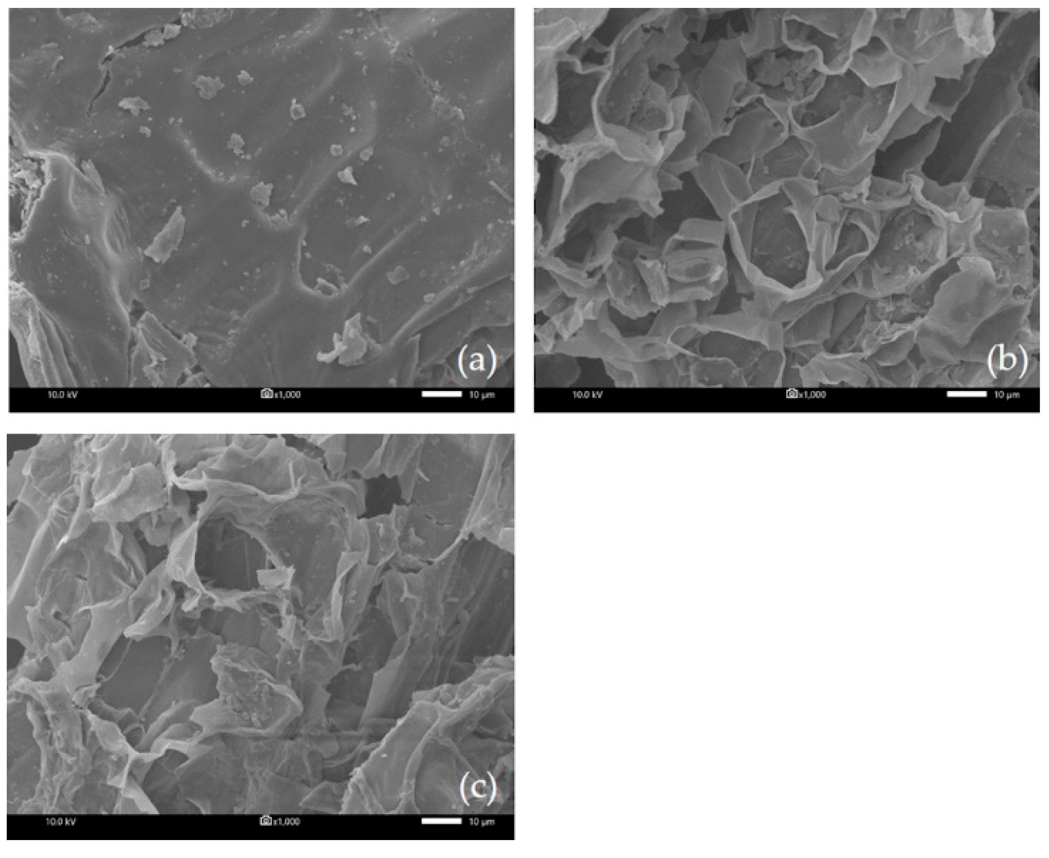 Processes 08 00449 g006