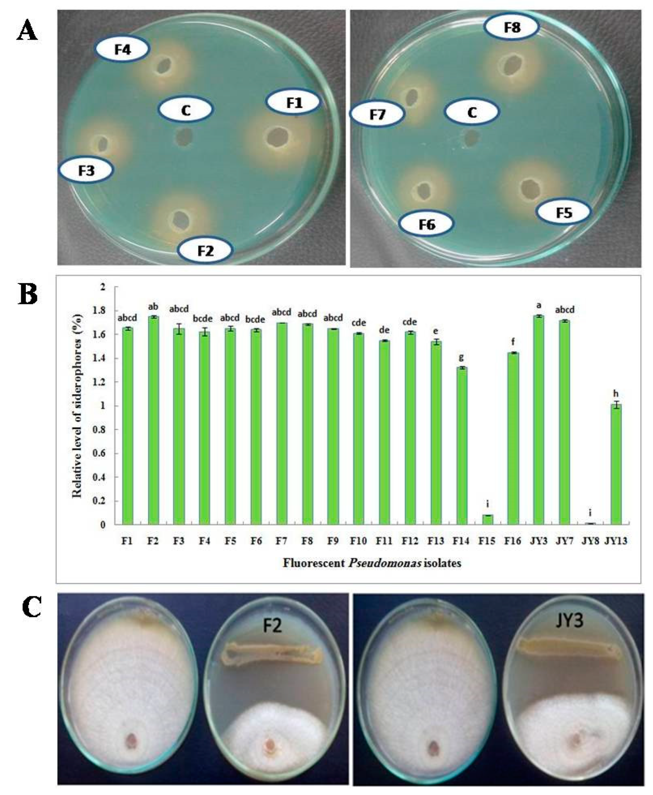 Processes 08 00455 g001
