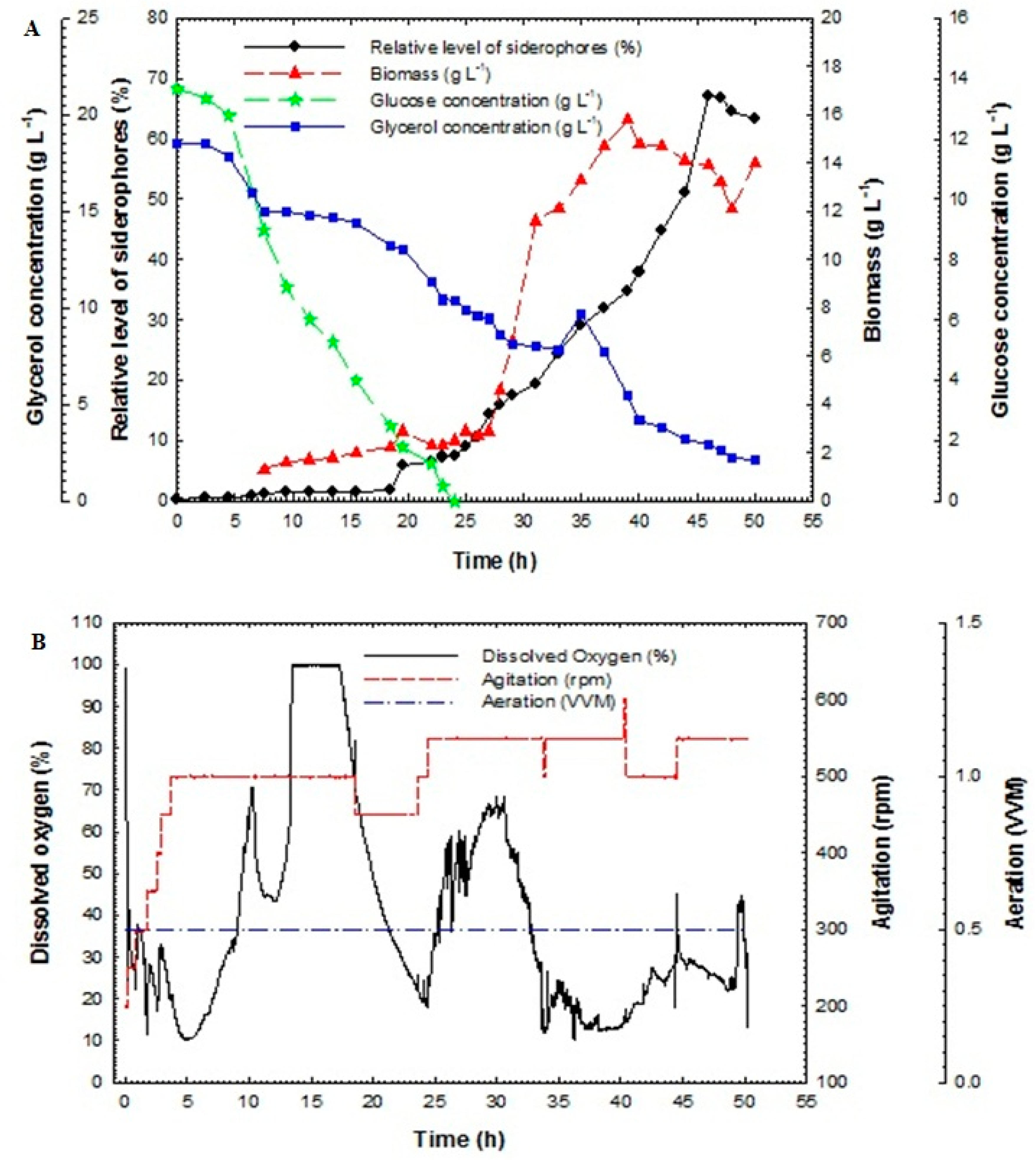 Processes 08 00455 g005