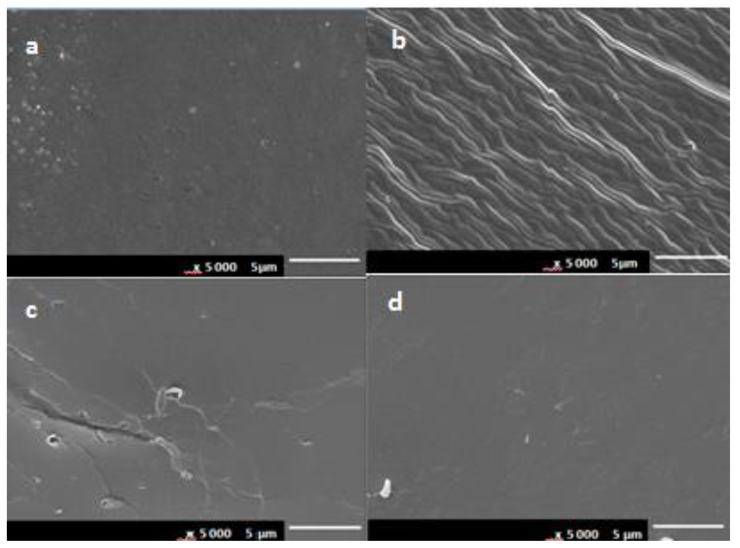 Processes 08 00467 g001
