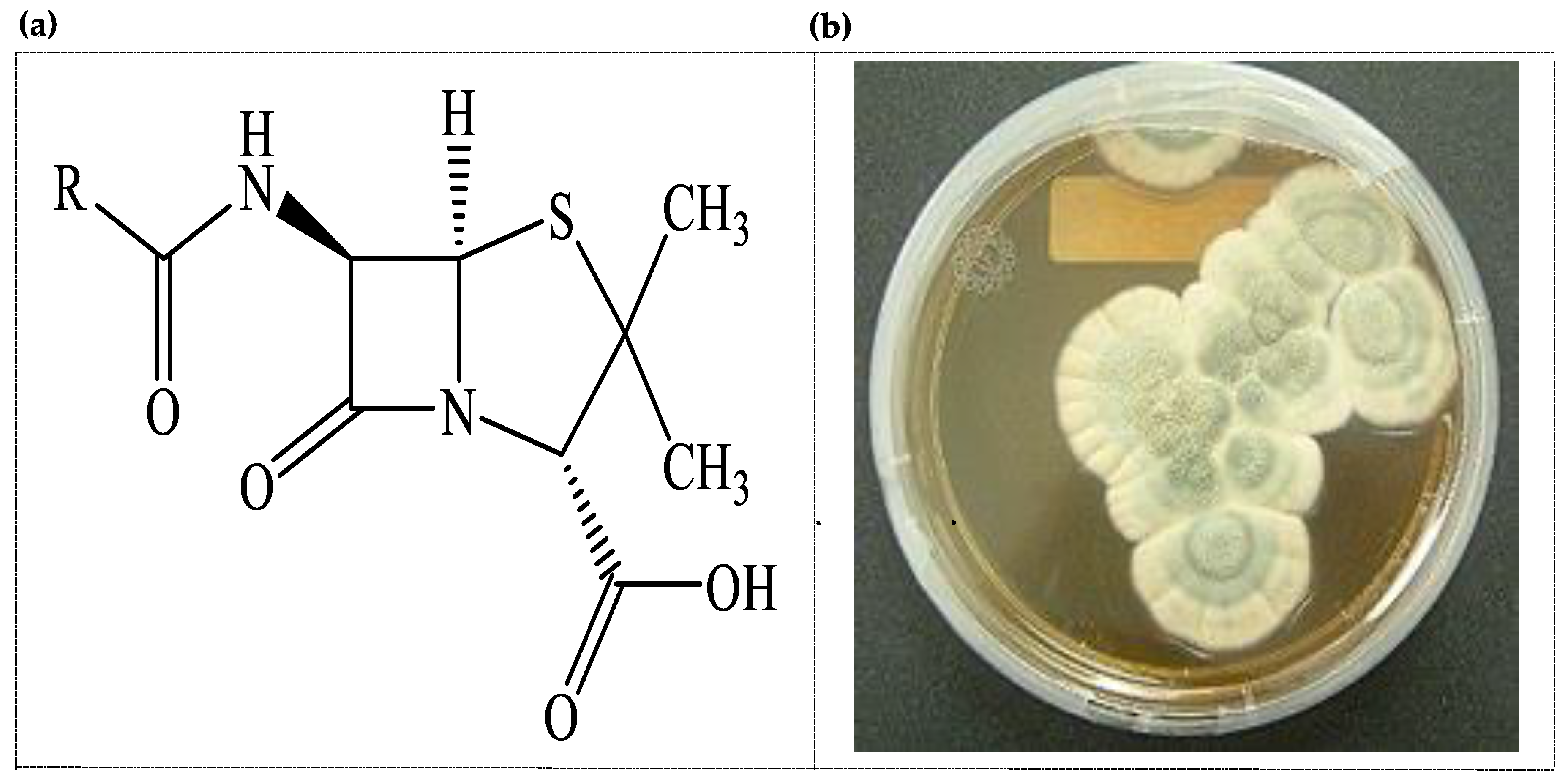 Processes 08 00470 g001