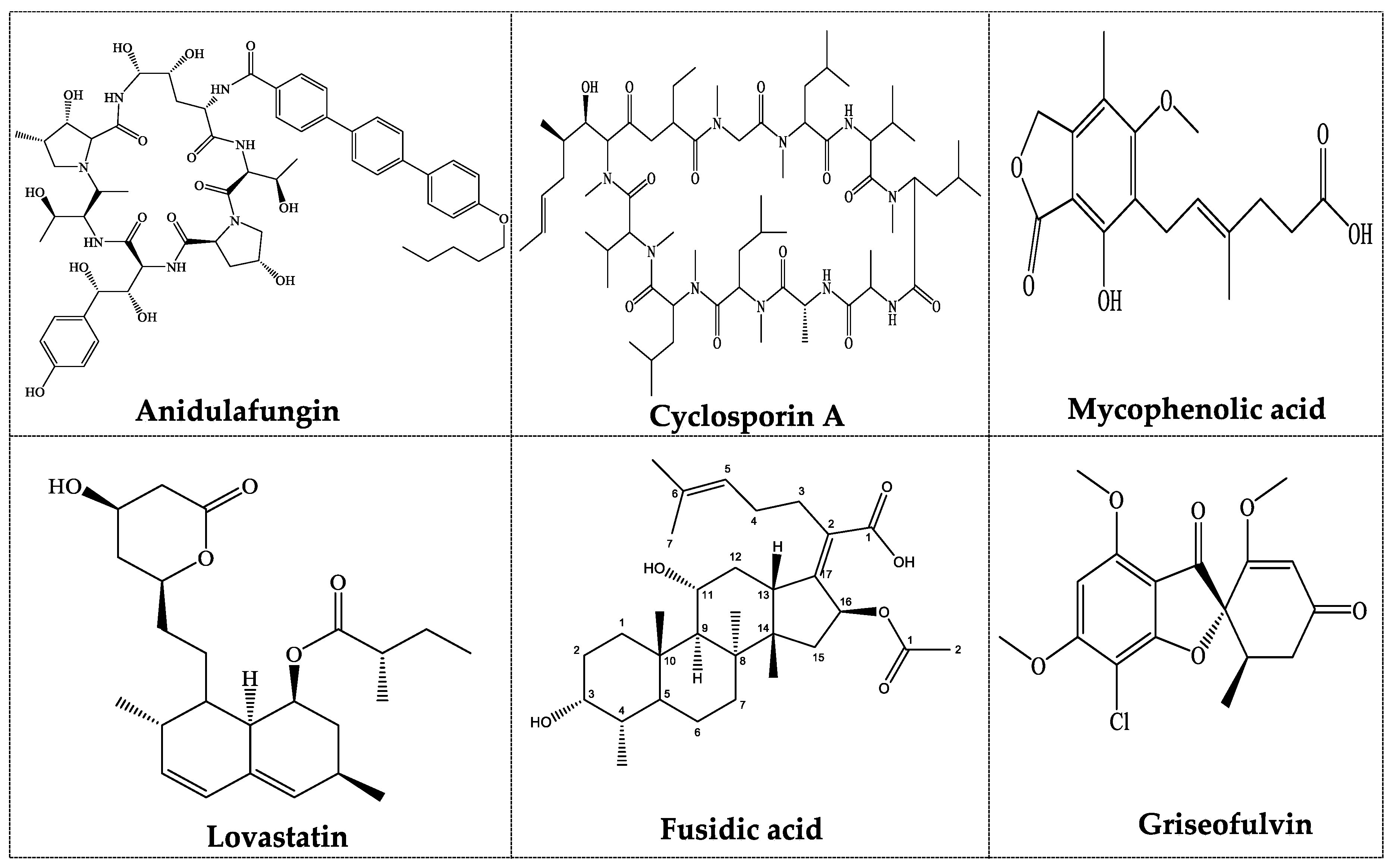 Processes 08 00470 g002