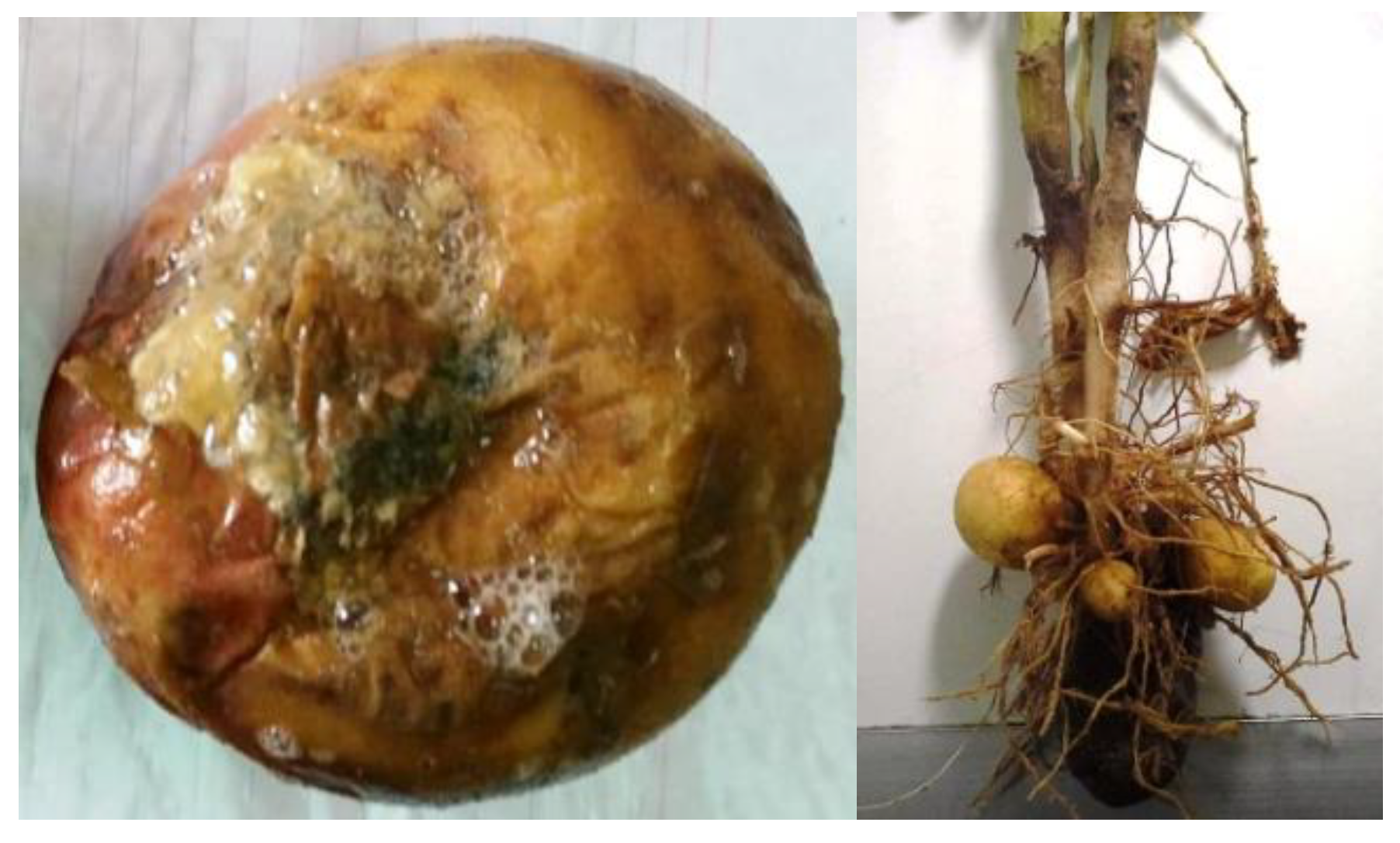 Processes 08 00482 g001