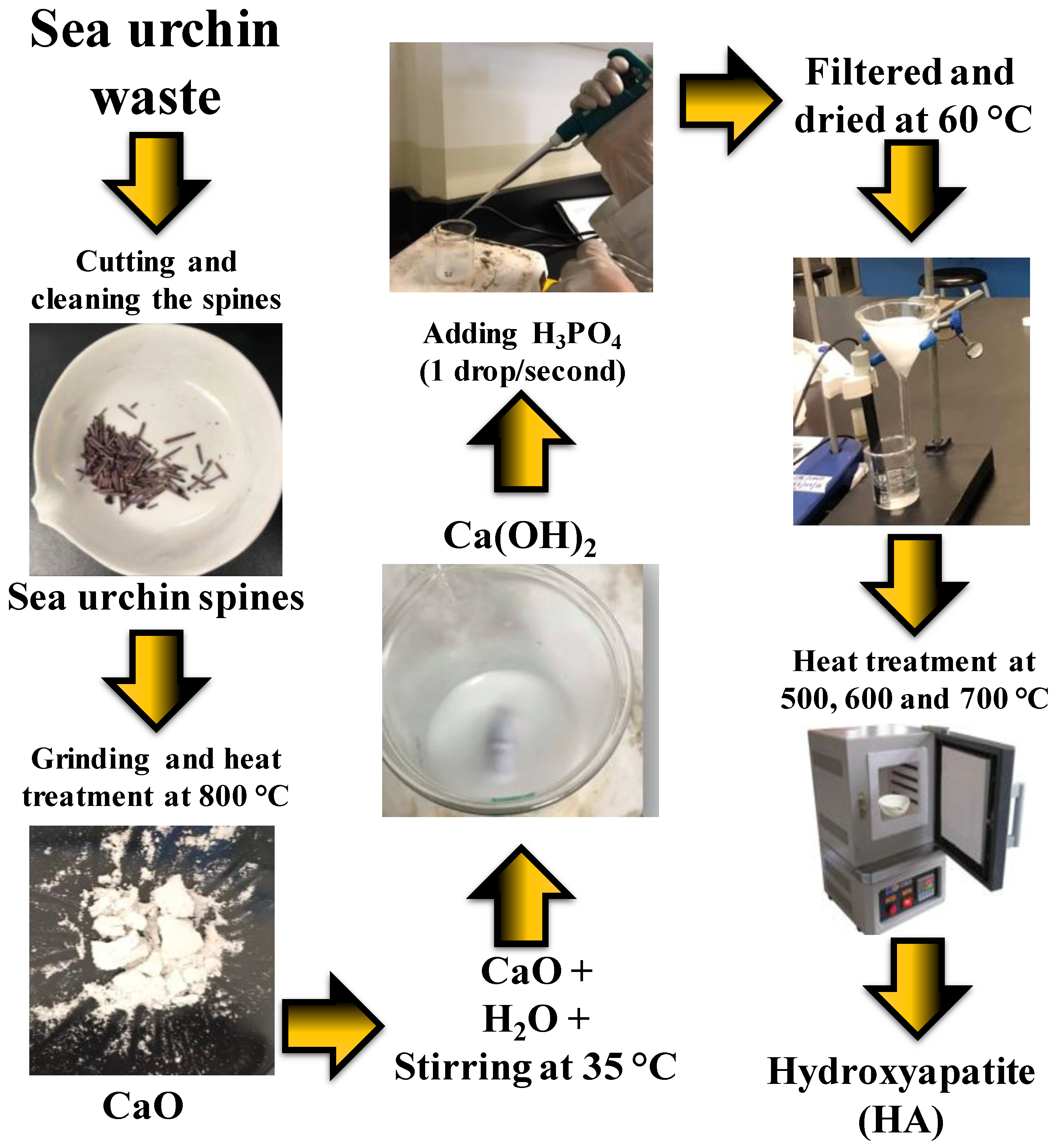 Processes 08 00486 g001