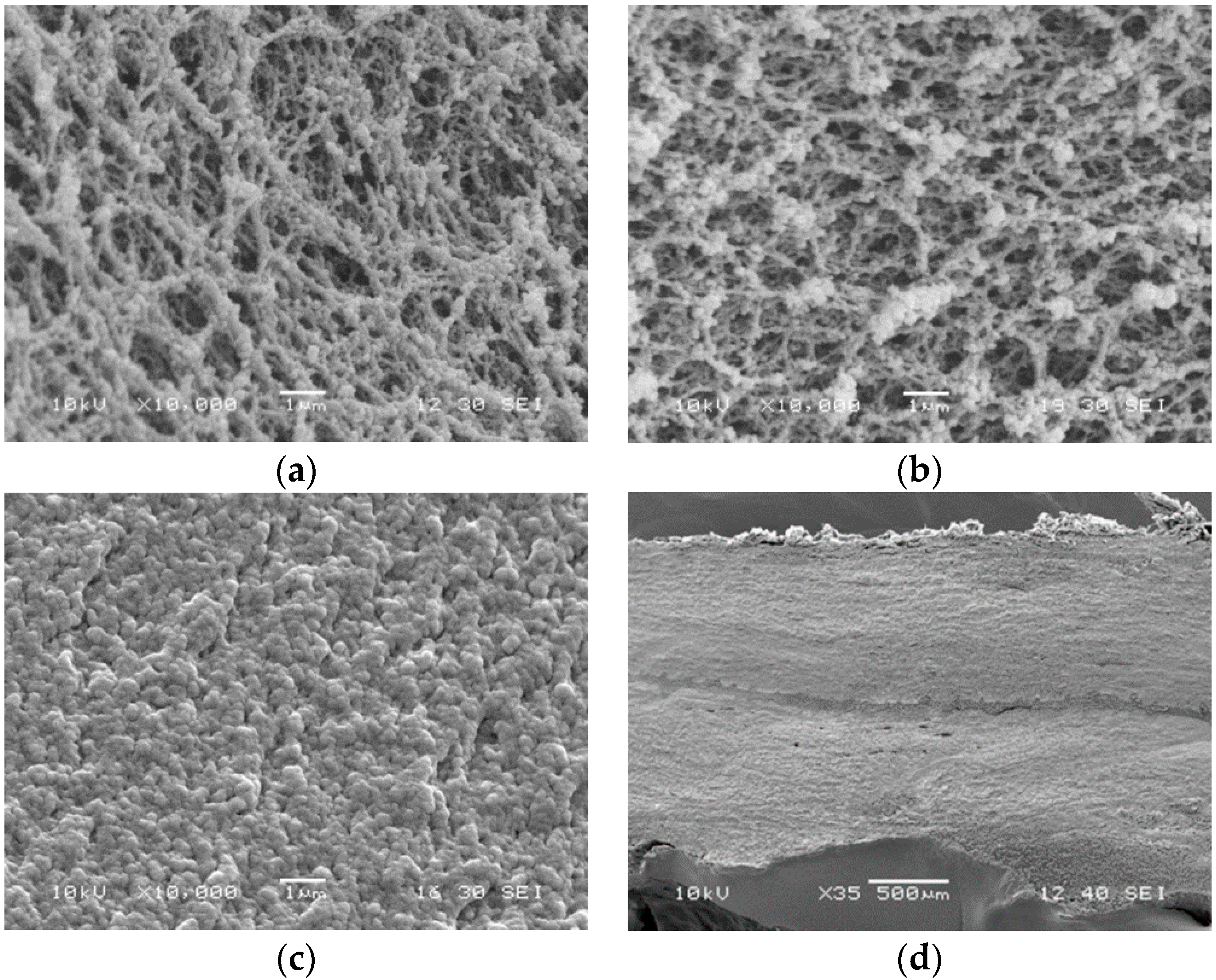 Processes 08 00496 g007