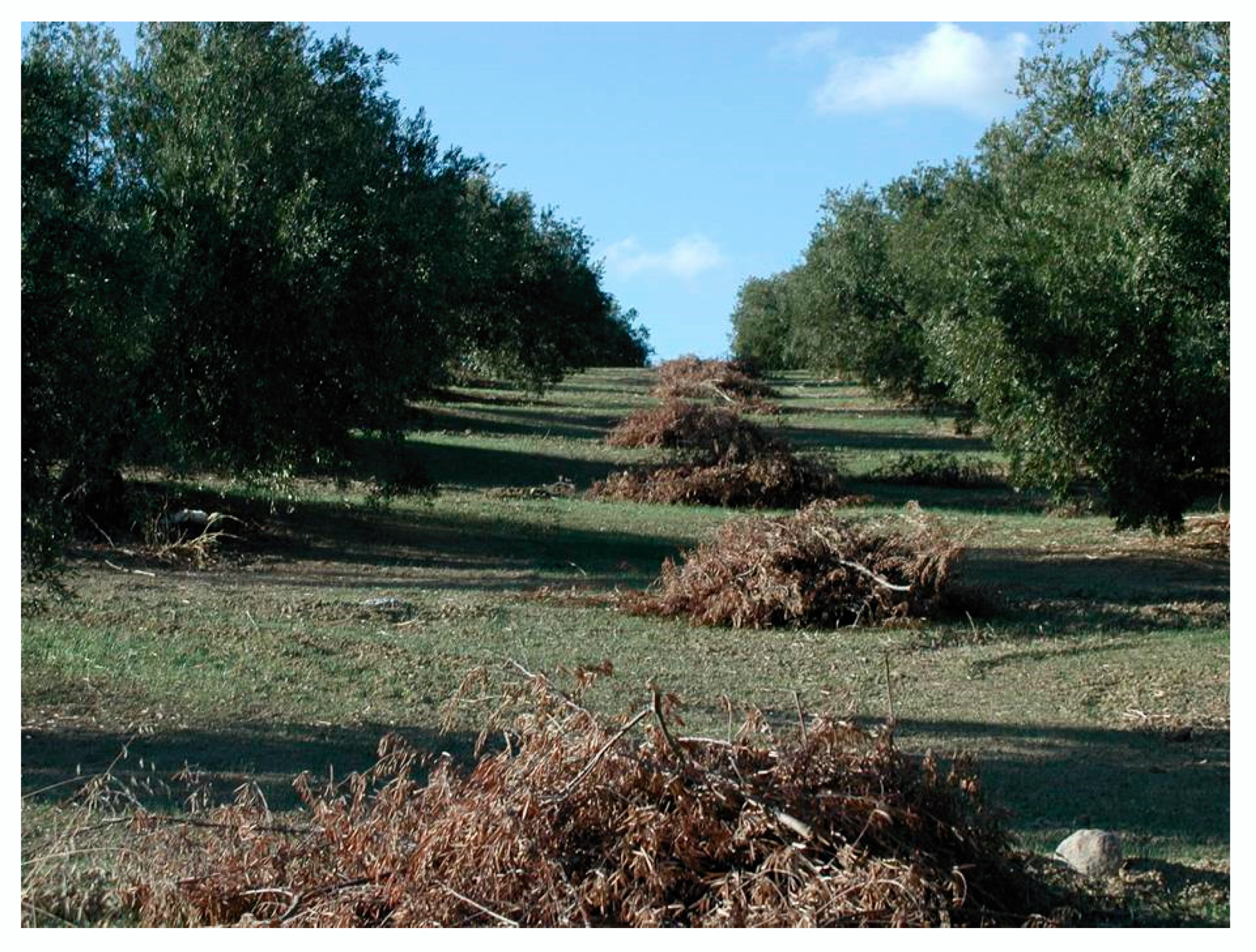 Processes 08 00511 g005