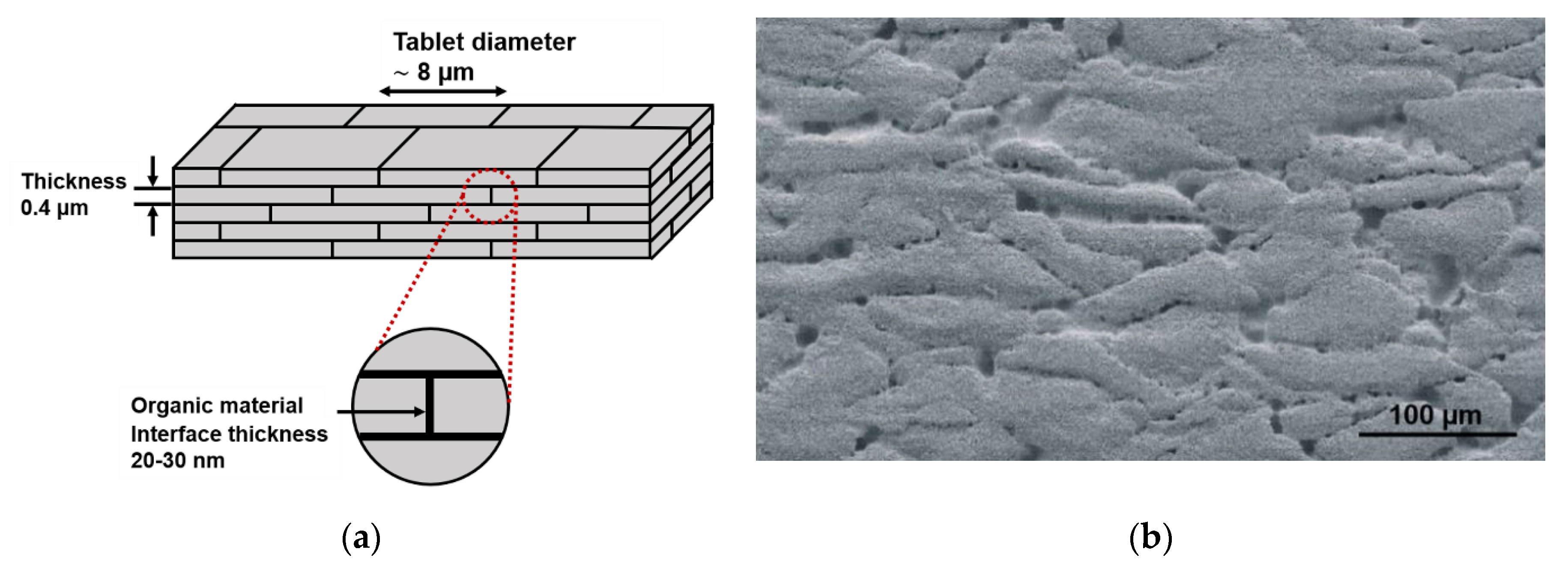 Processes 08 00521 g001 Processes 08 00521 g001