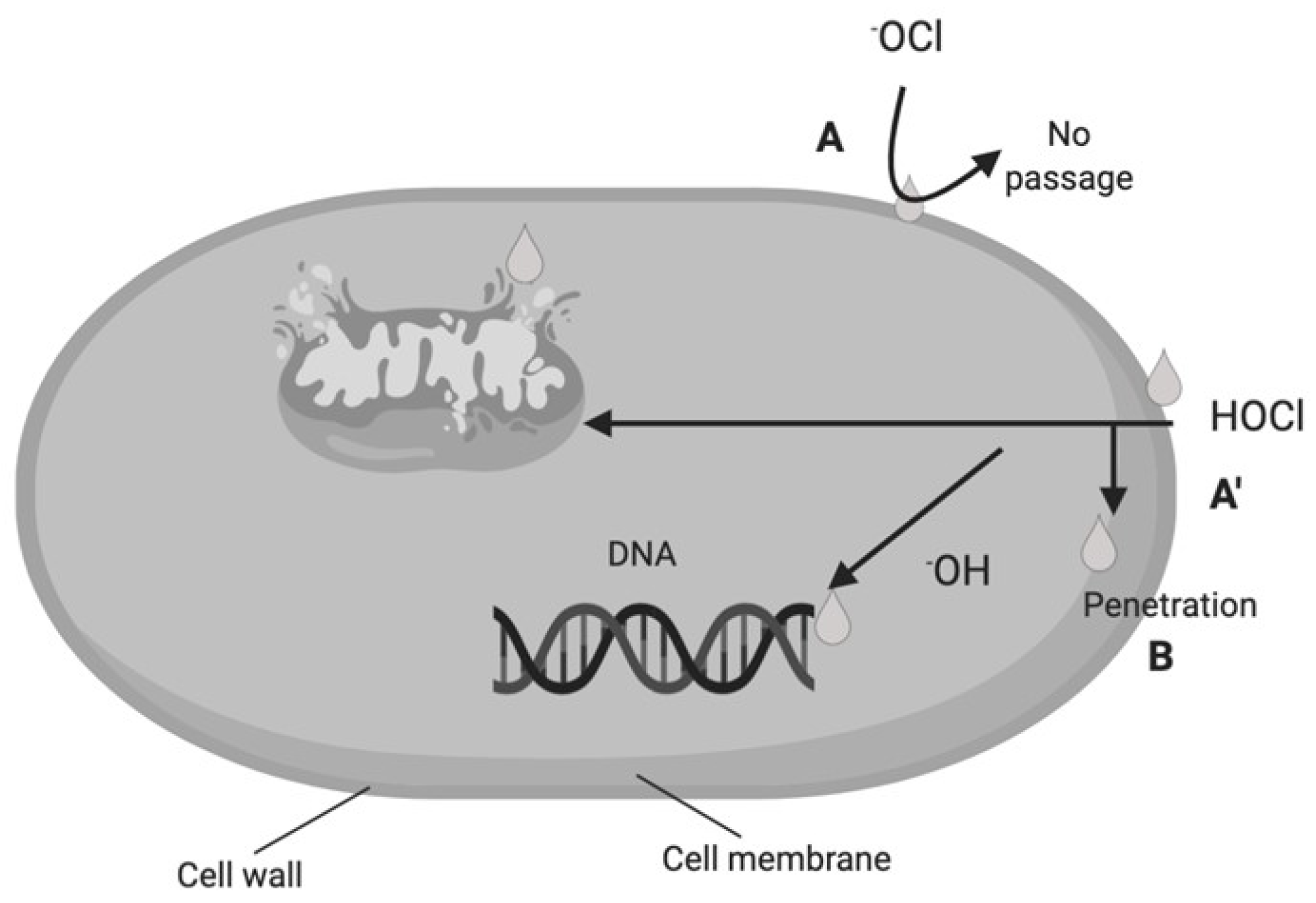 Processes 08 00534 g002 Processes 08 00534 g002