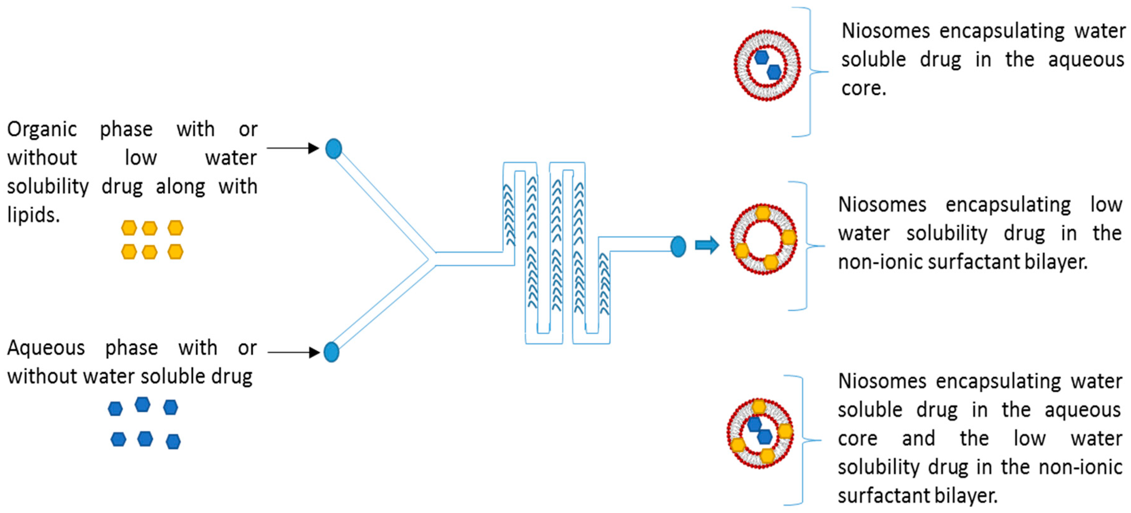 Processes 08 00535 g001