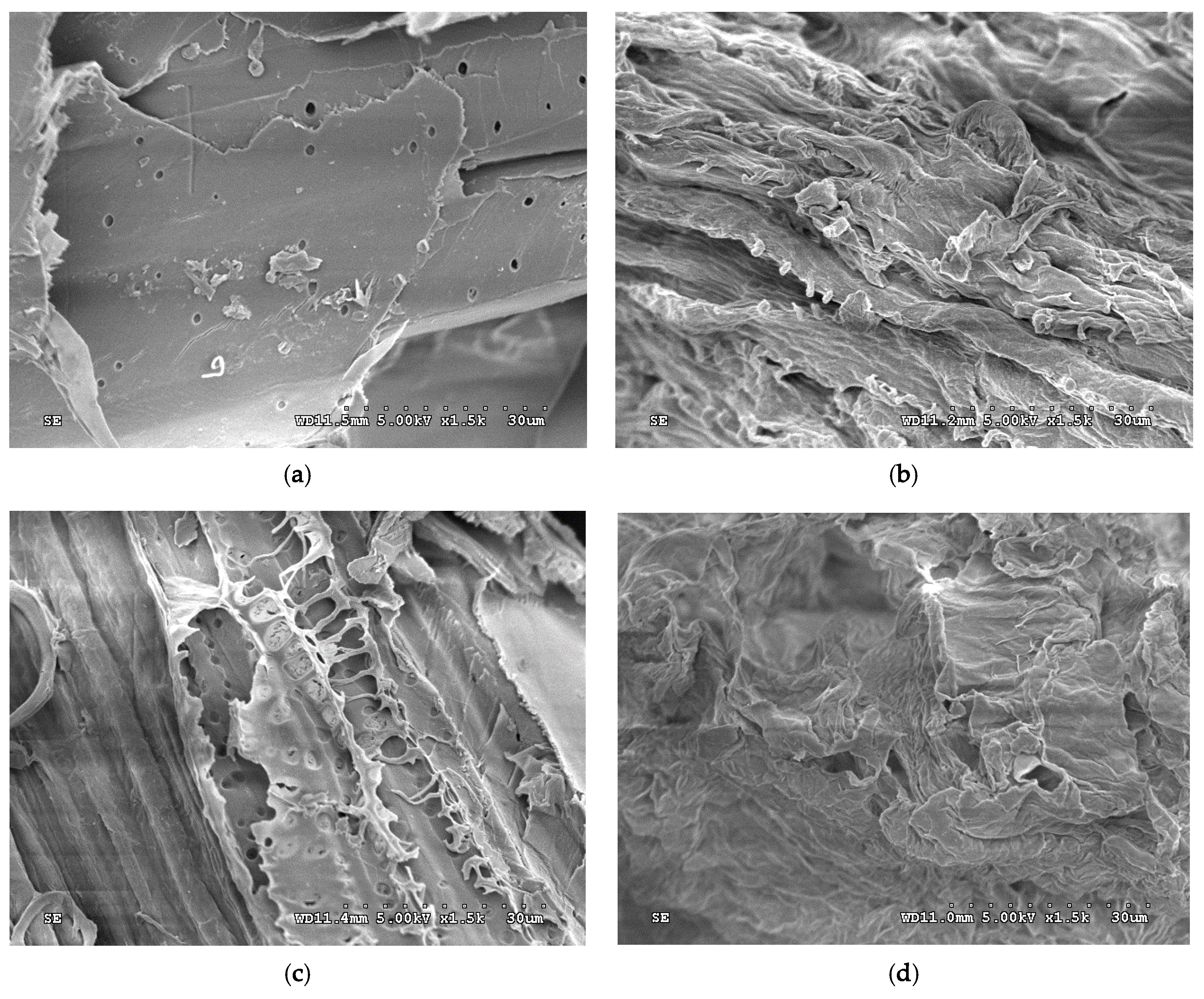 Processes 08 00567 g003