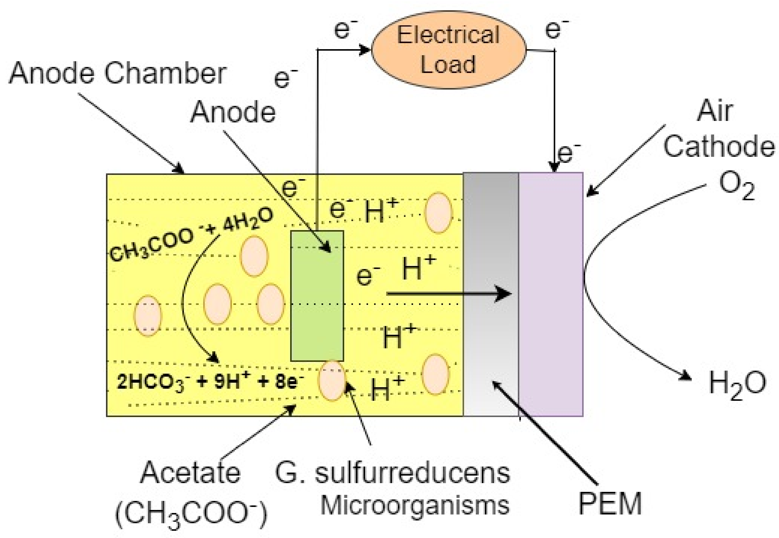 Processes 08 00583 g003