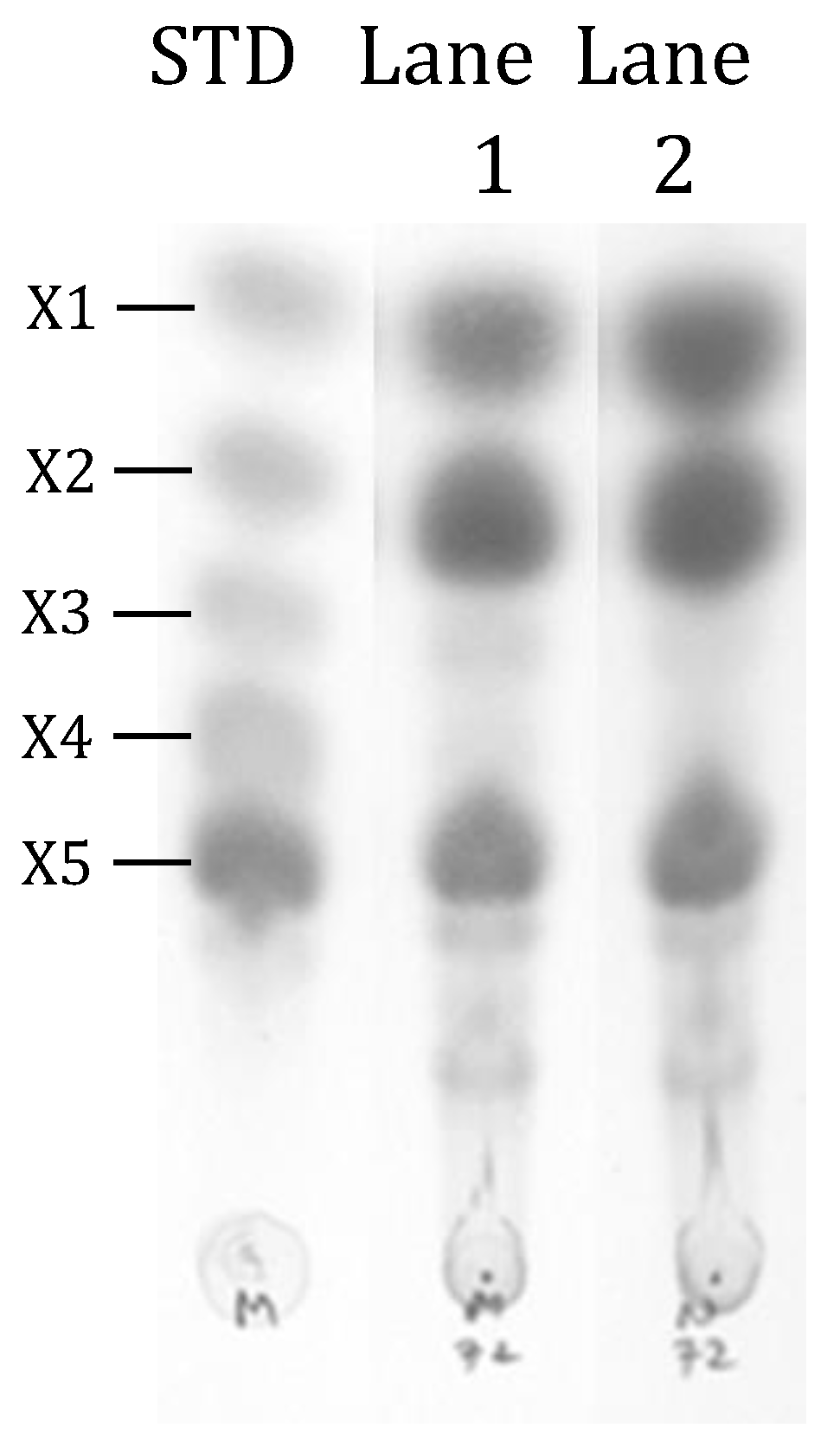Processes 08 00619 g001 Processes 08 00619 g001