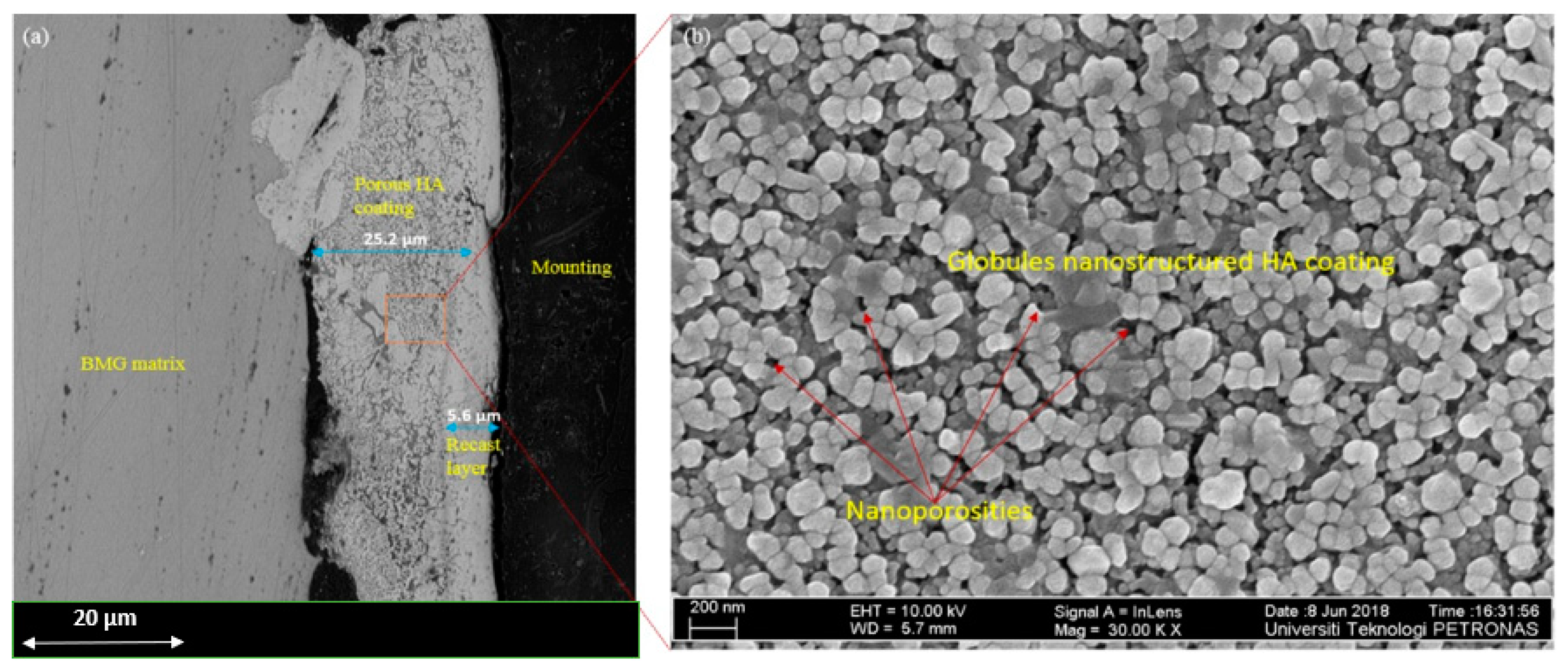 Processes 08 00635 g003 Processes 08 00635 g003