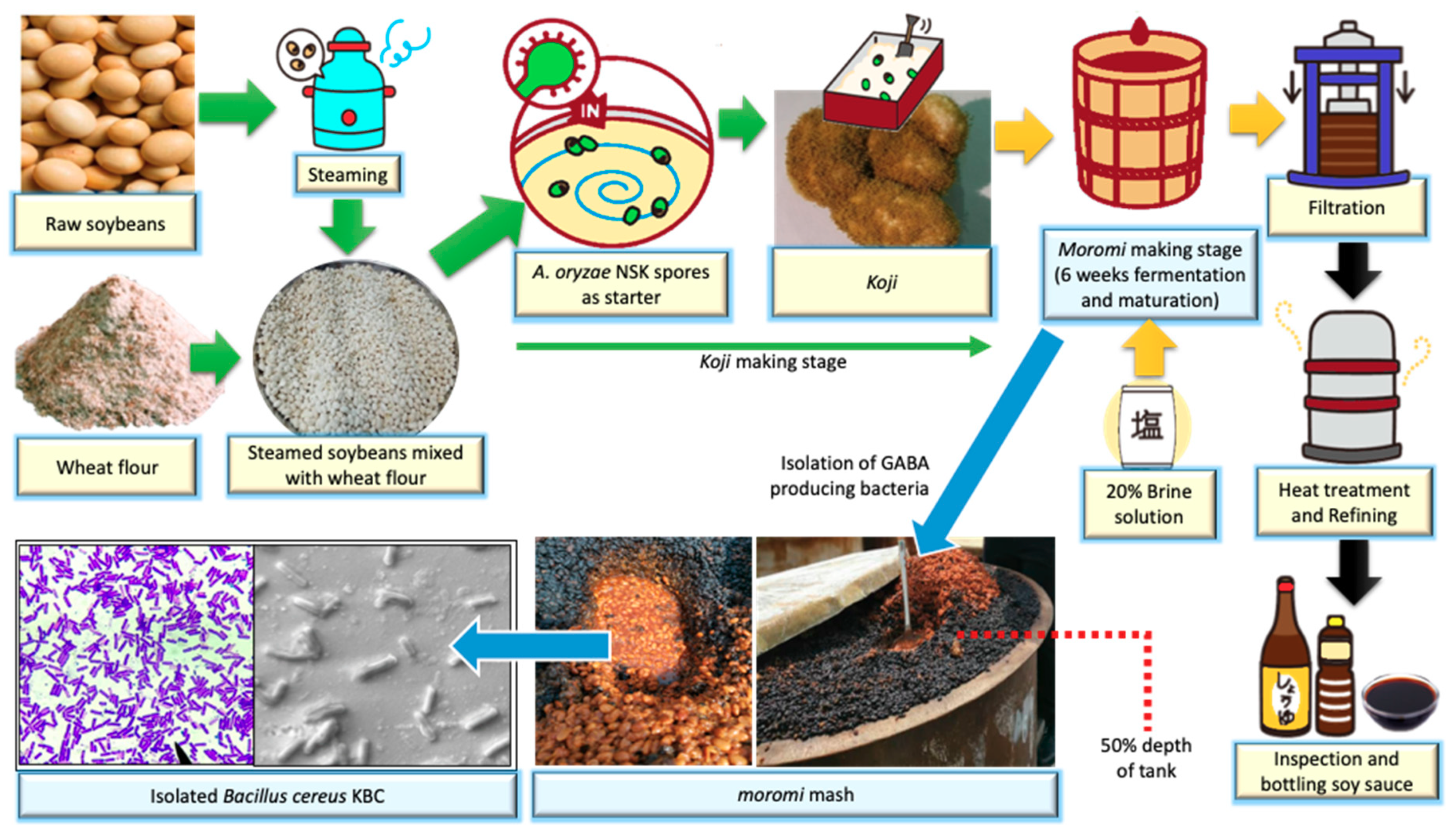Processes 08 00652 g001