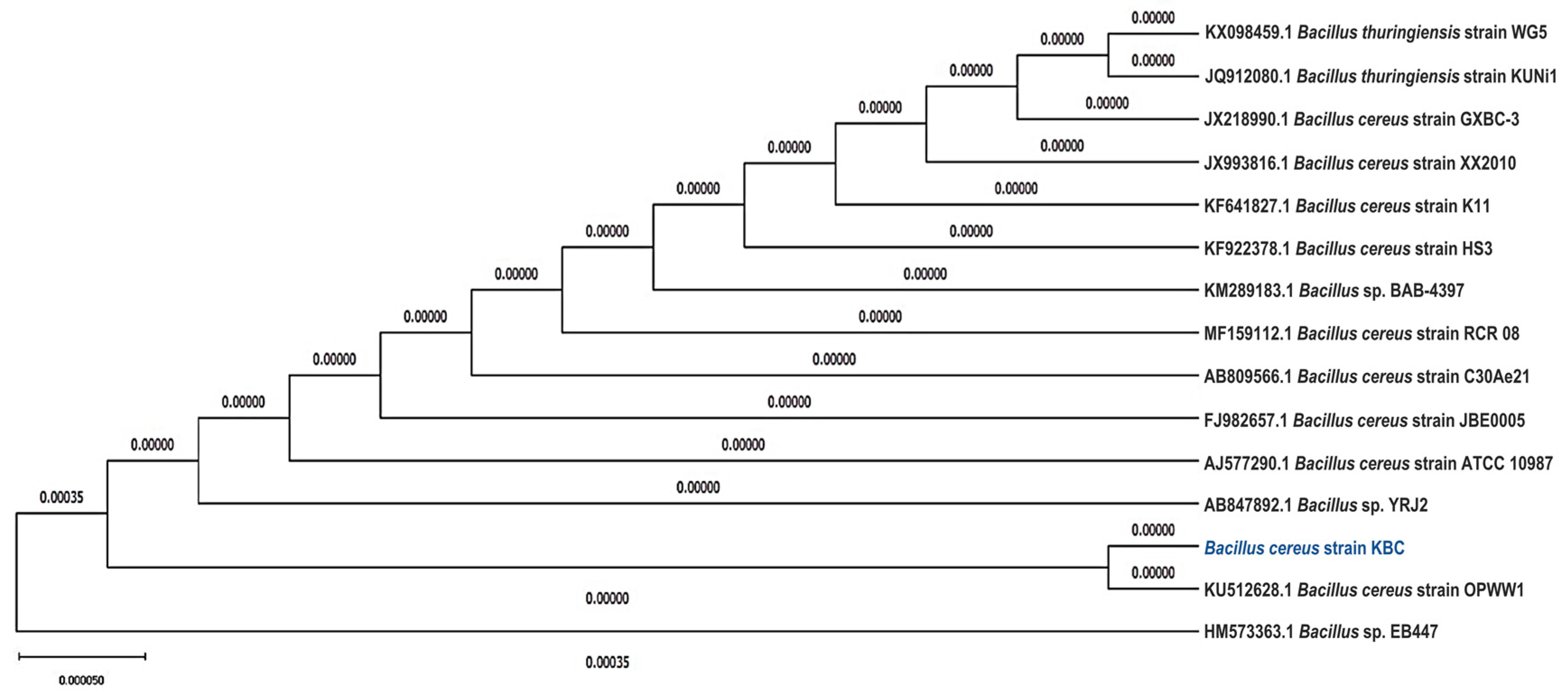 Processes 08 00652 g002