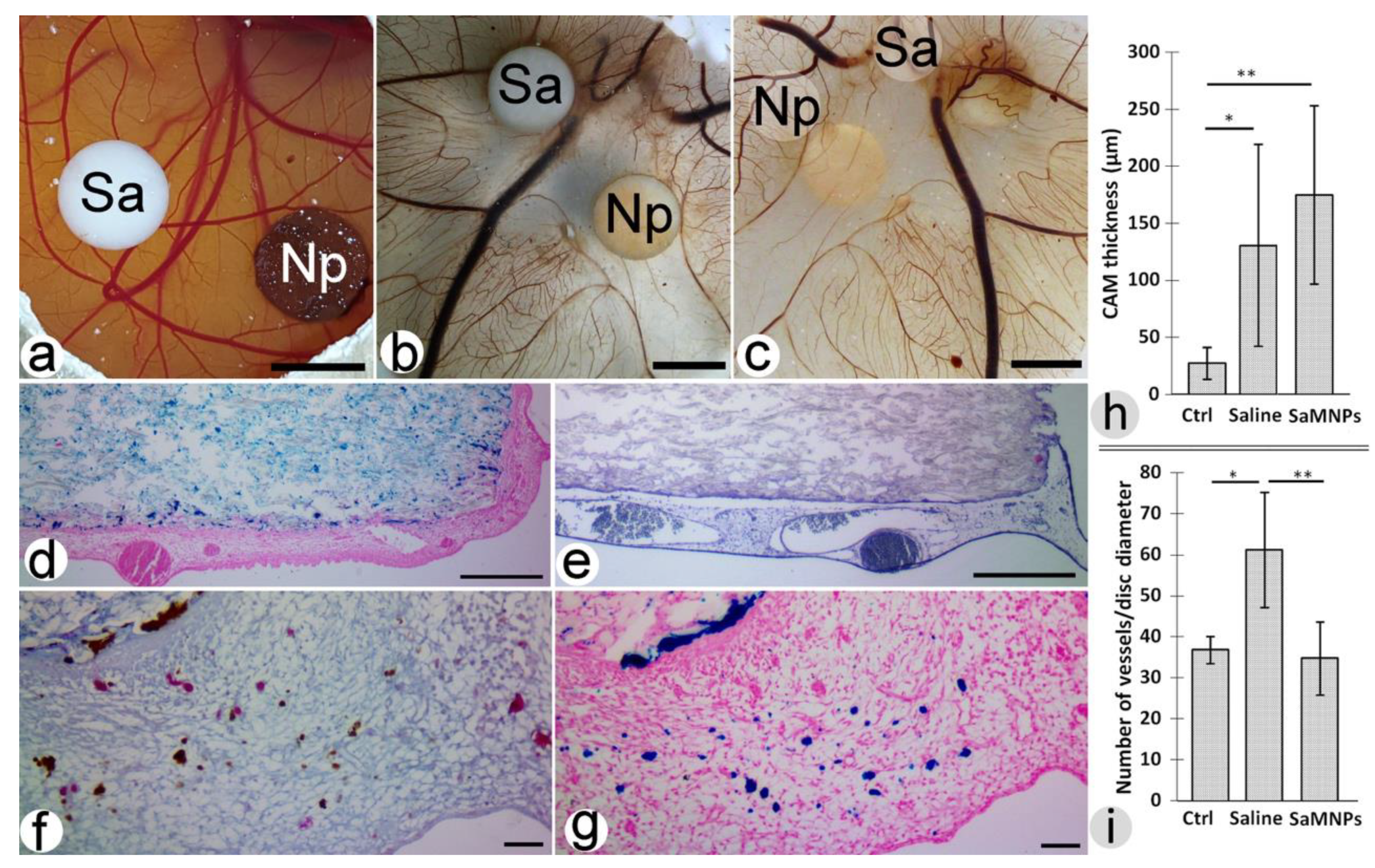 Processes 08 00706 g001