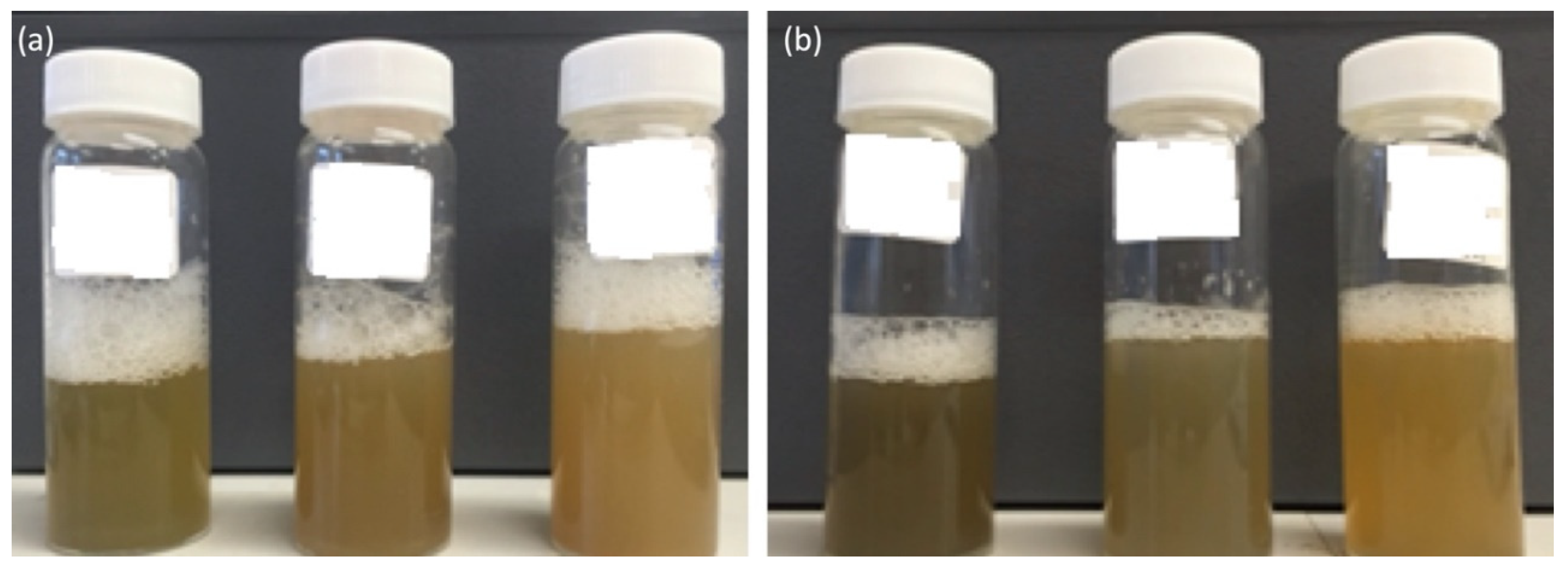 Processes 08 00707 g012