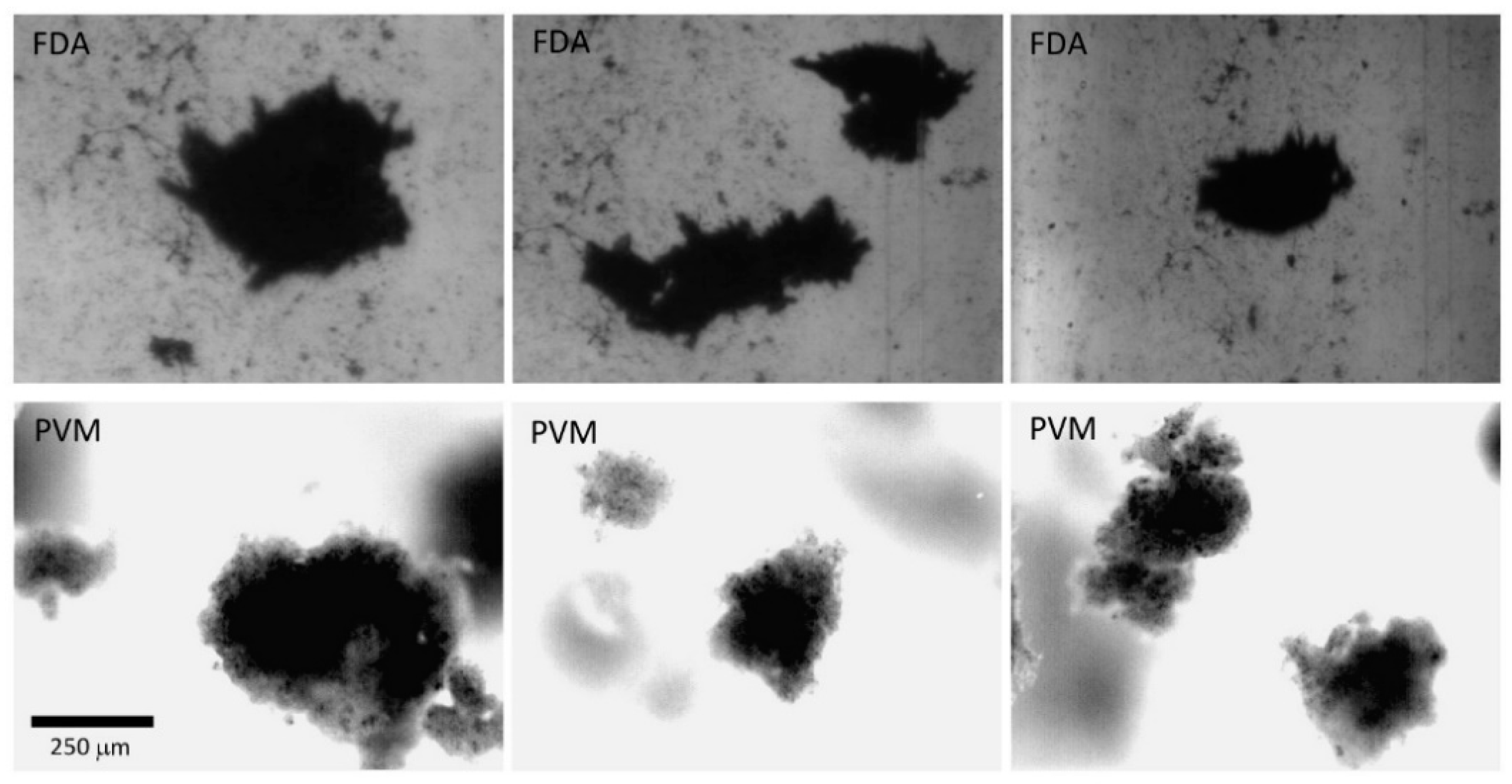 Processes 08 00731 g010