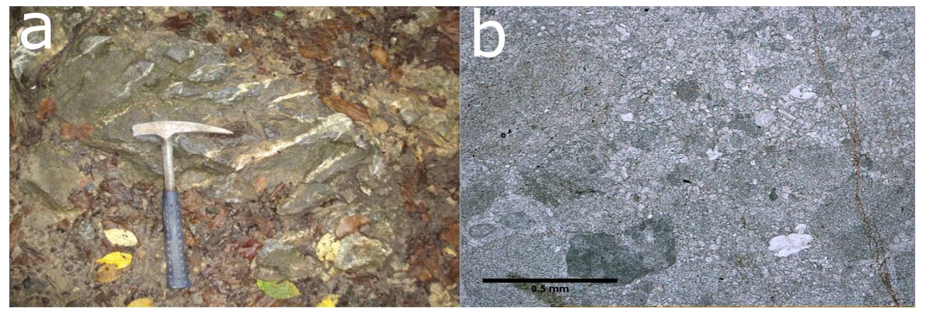 Processes 08 00755 g004