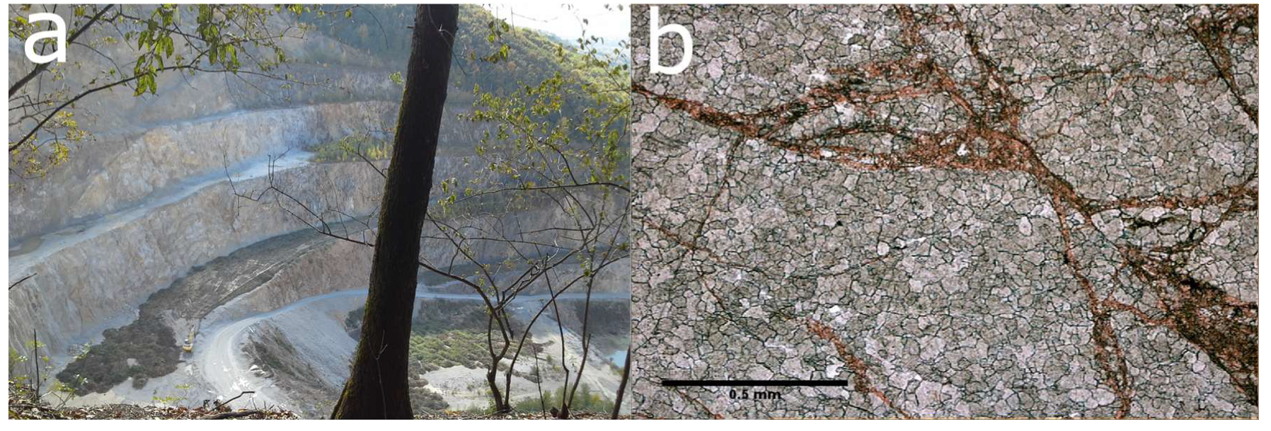 Processes 08 00755 g005