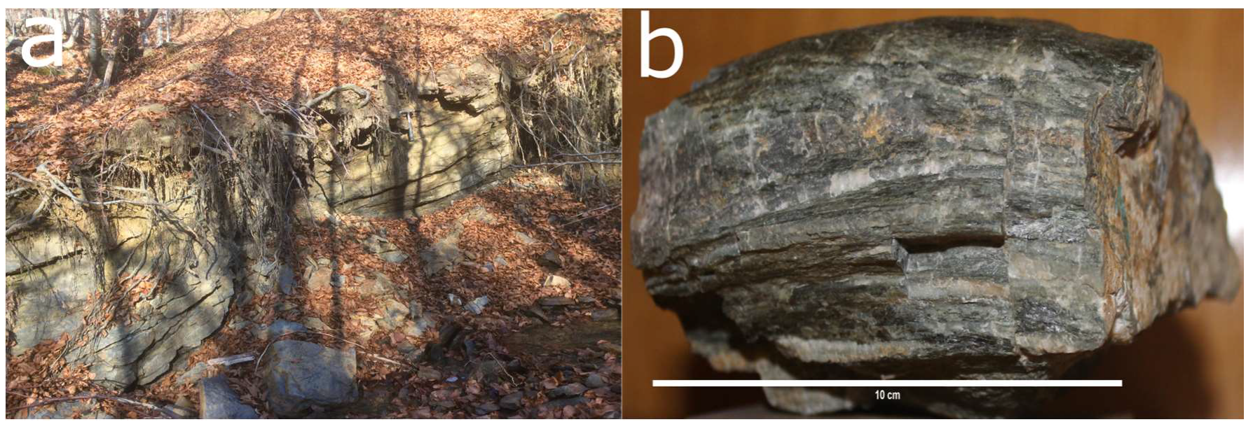Processes 08 00755 g006