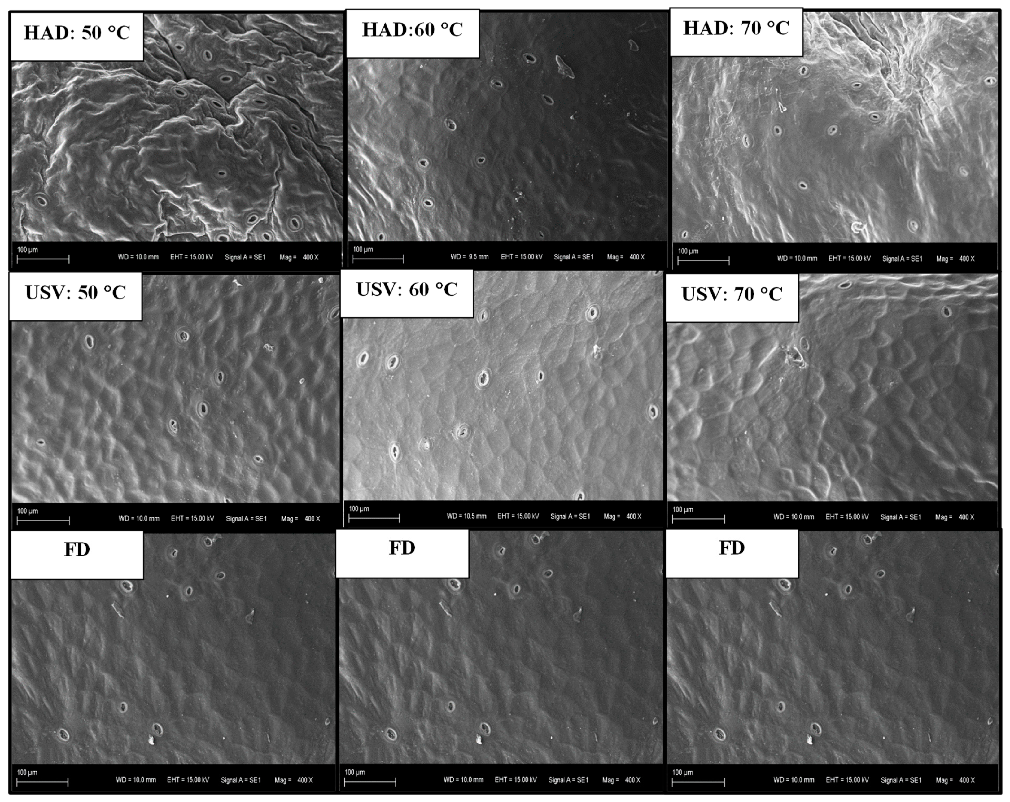 Processes 08 00761 g002 Processes 08 00761 g002