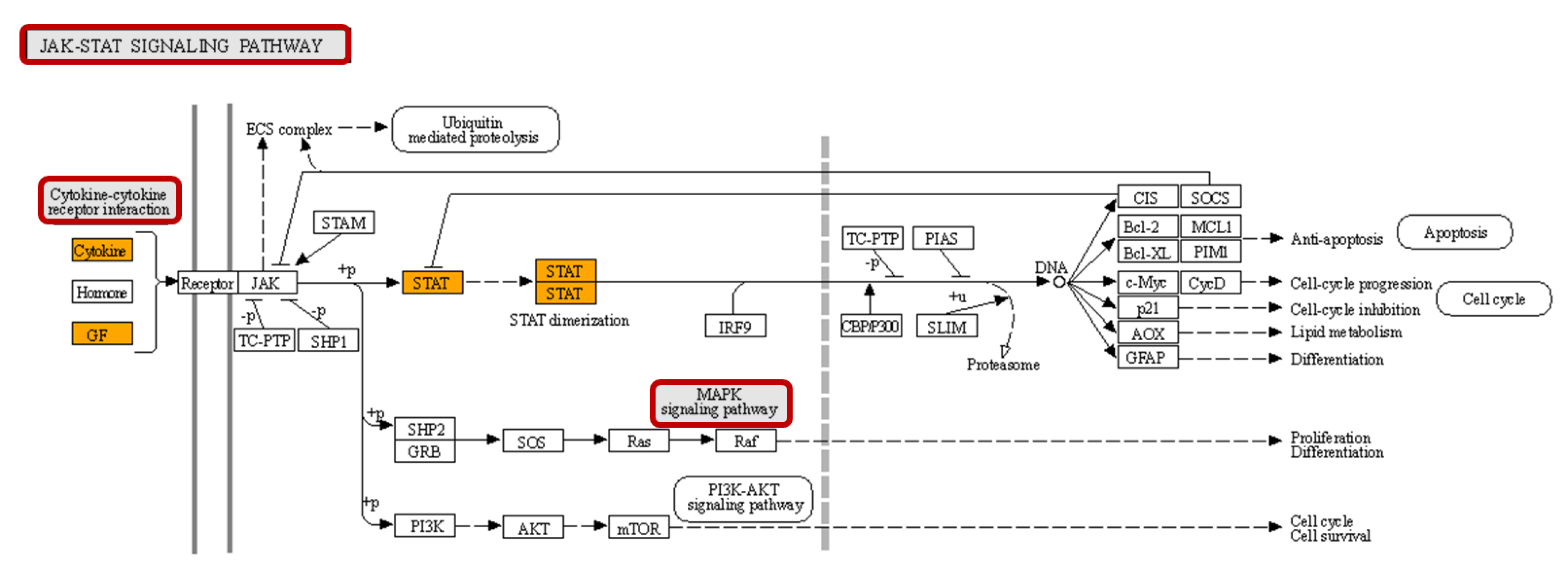 Processes 08 00767 g006 Processes 08 00767 g006