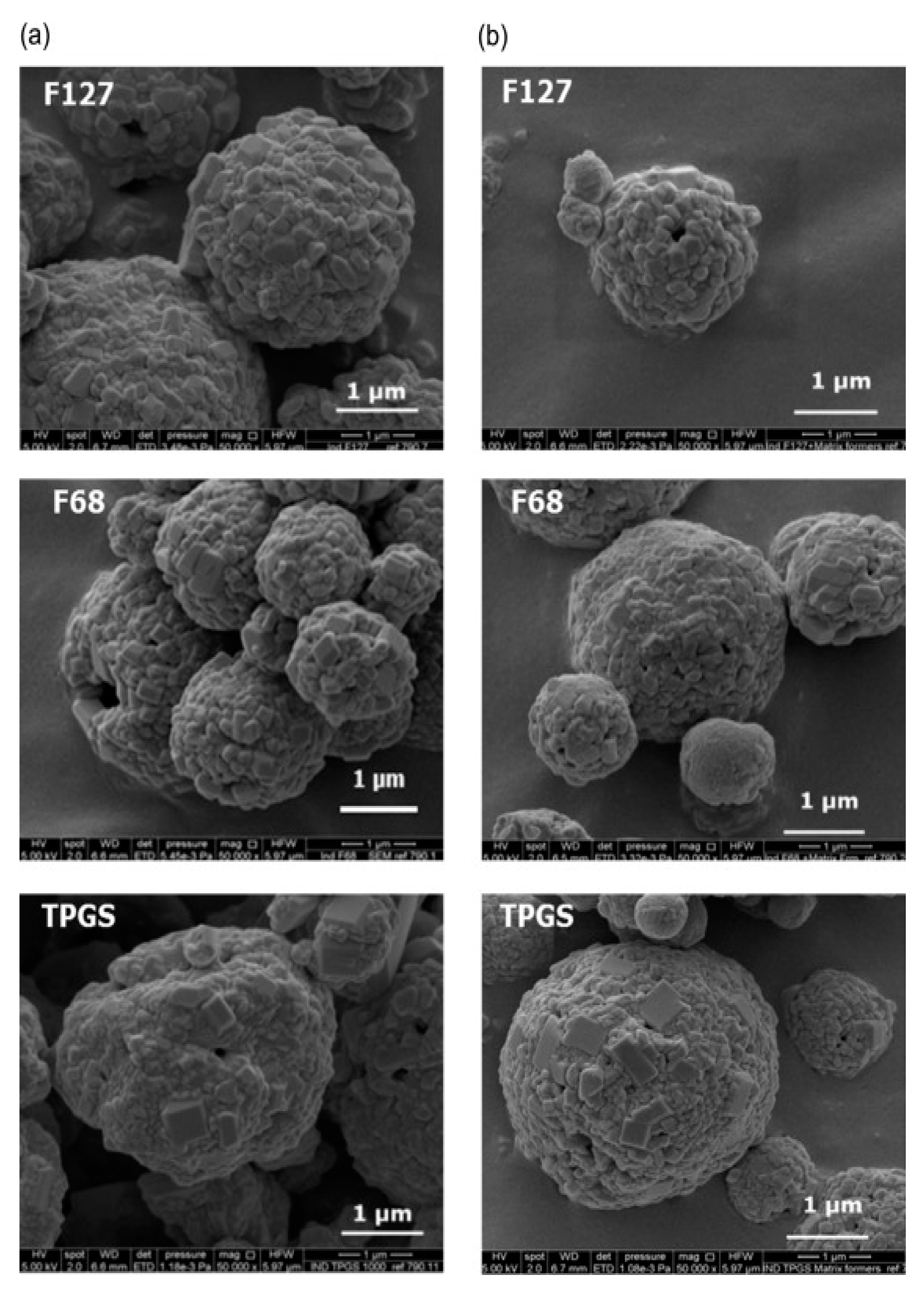 Processes 08 00788 g009