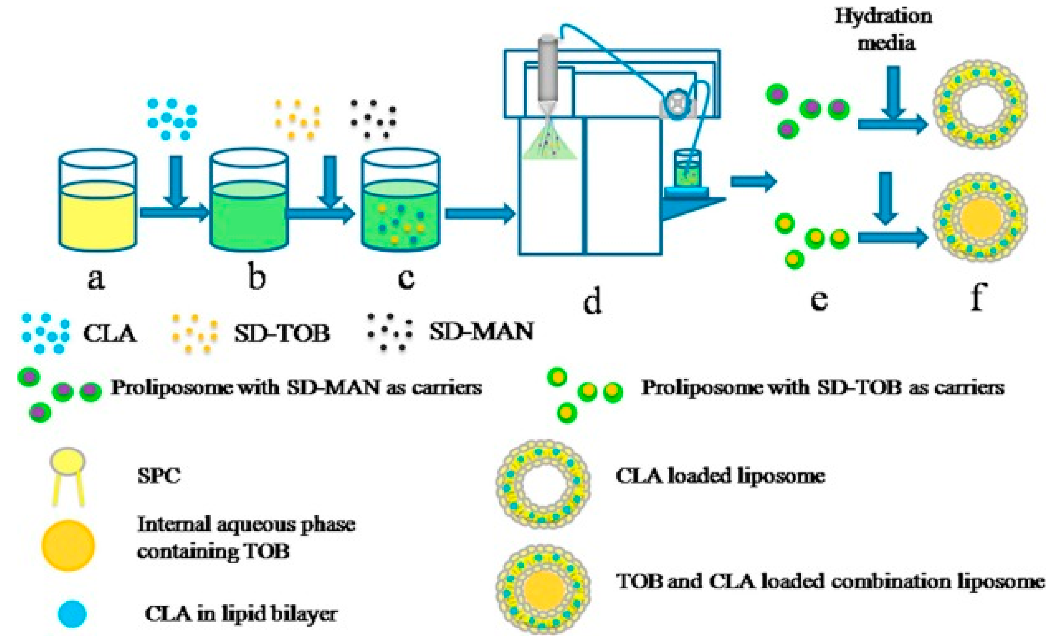 Processes 08 00788 g010