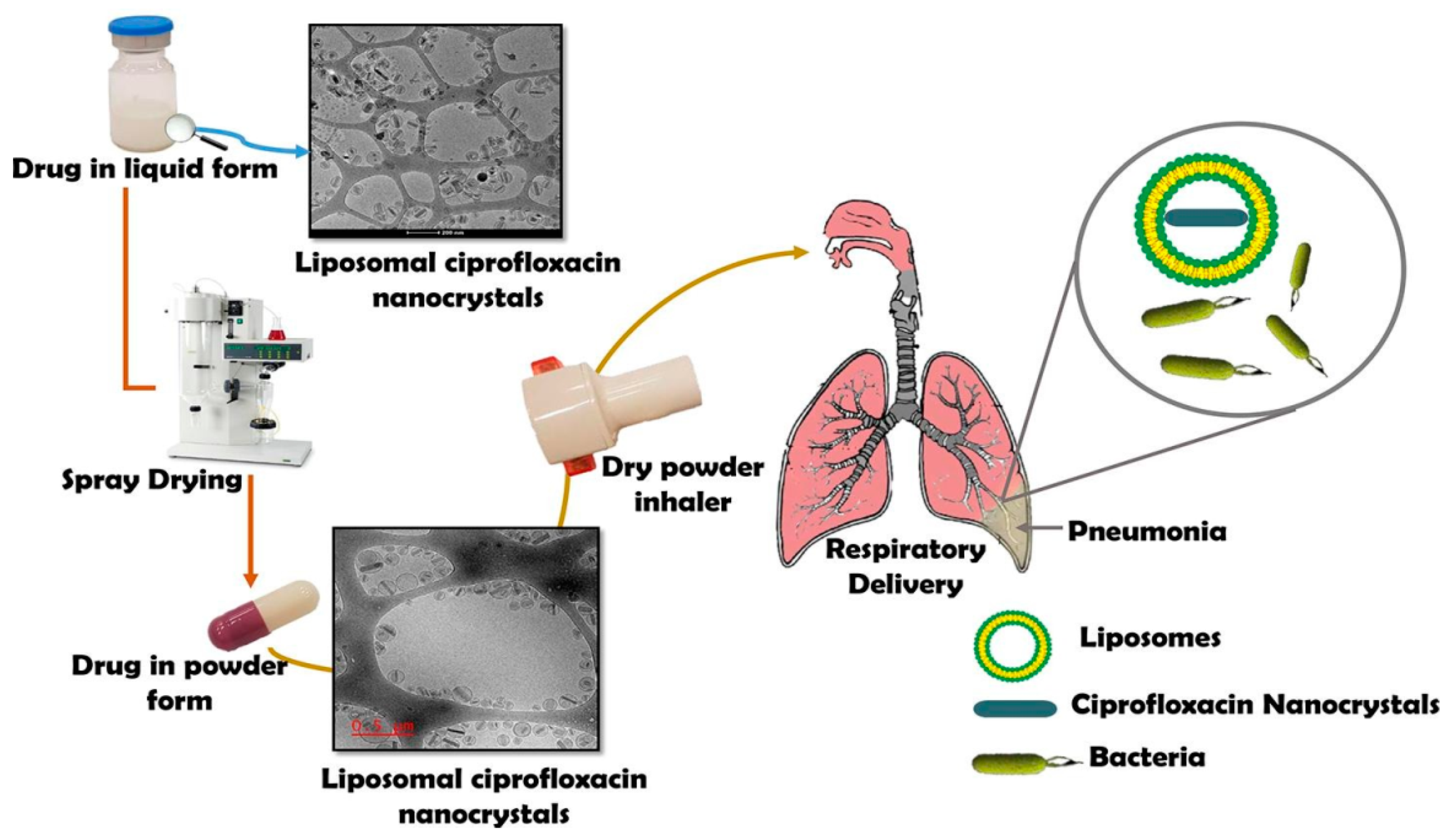 Processes 08 00788 g011