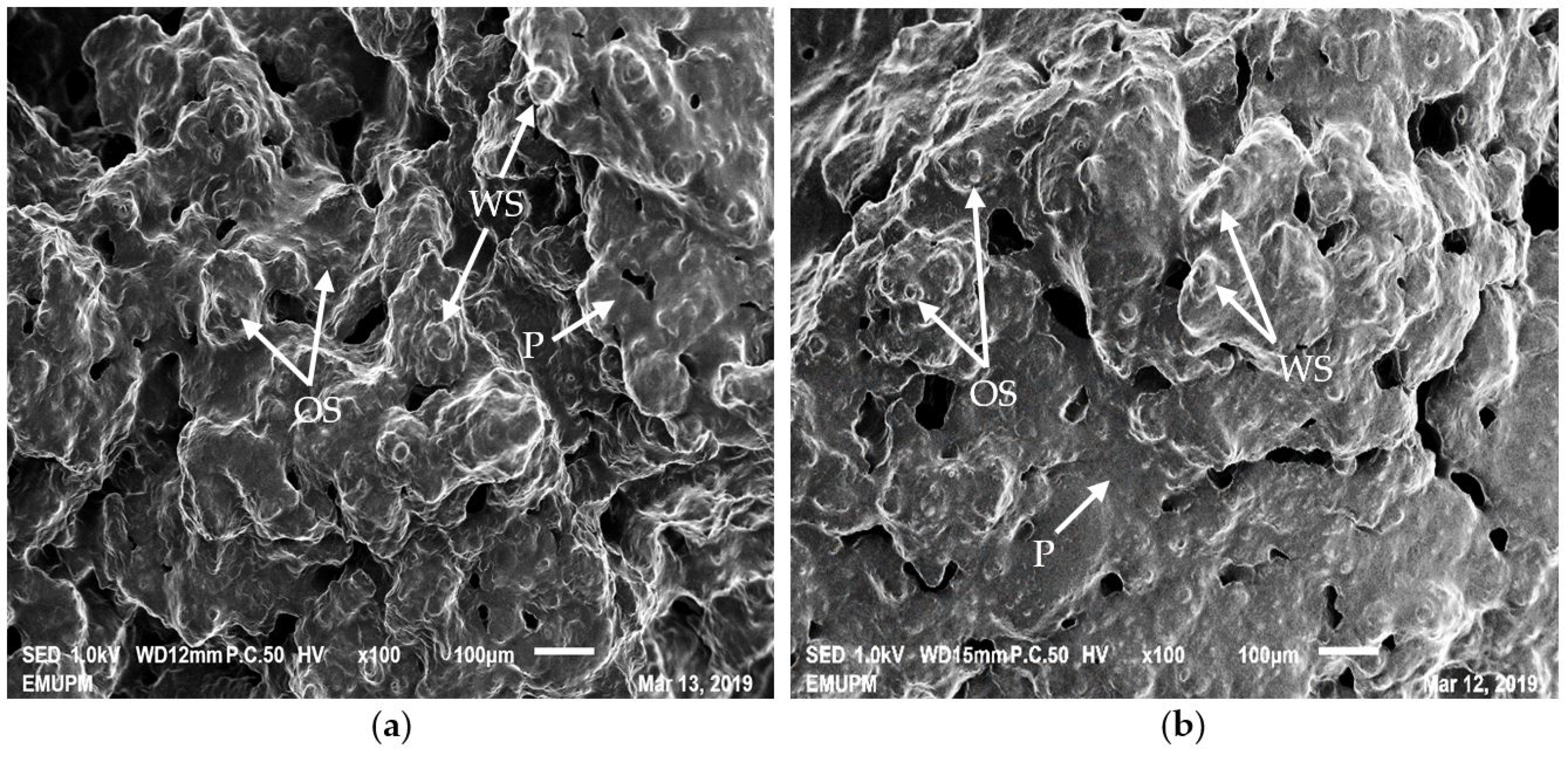 Processes 08 00797 g003