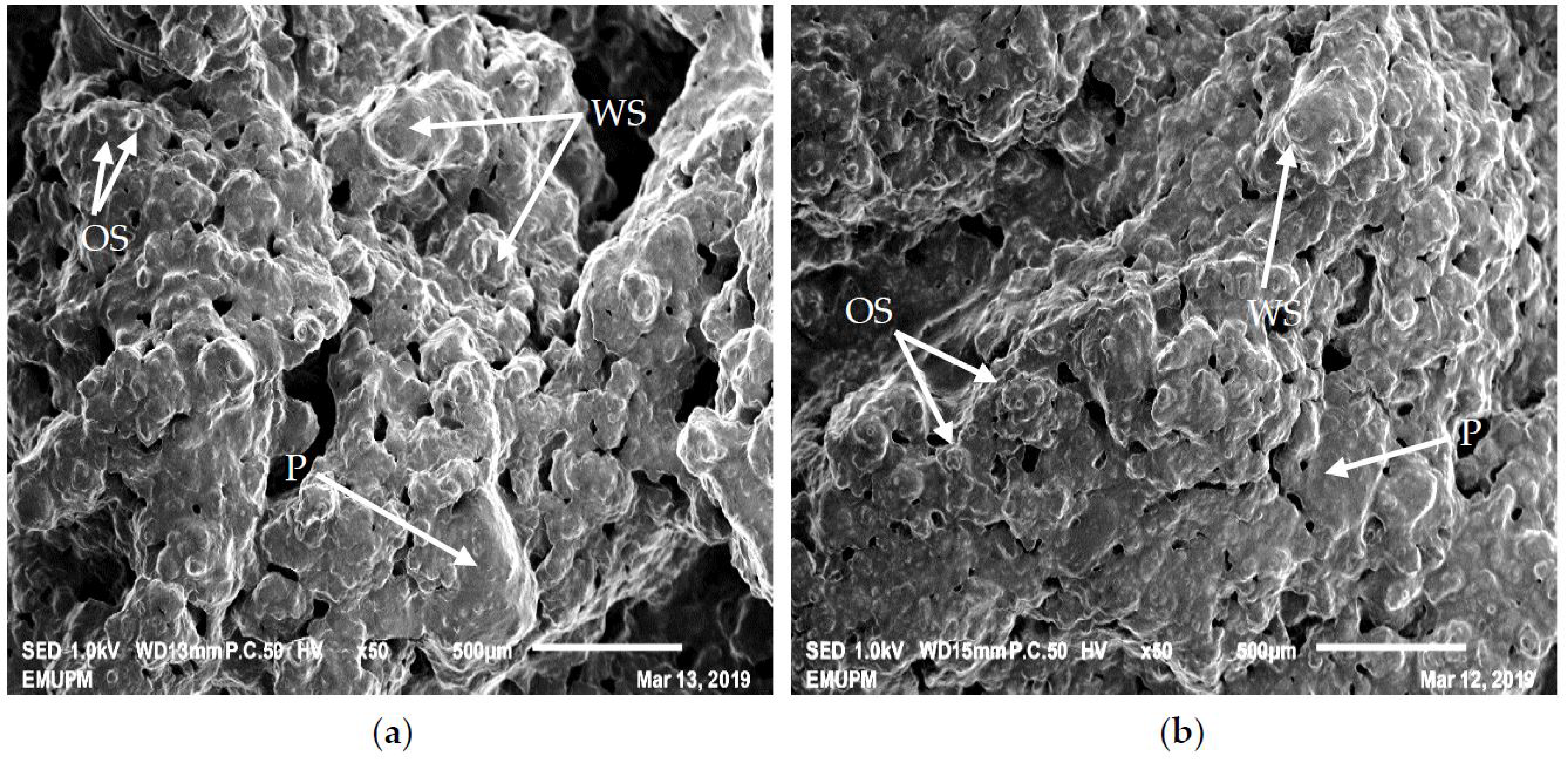 Processes 08 00797 g005