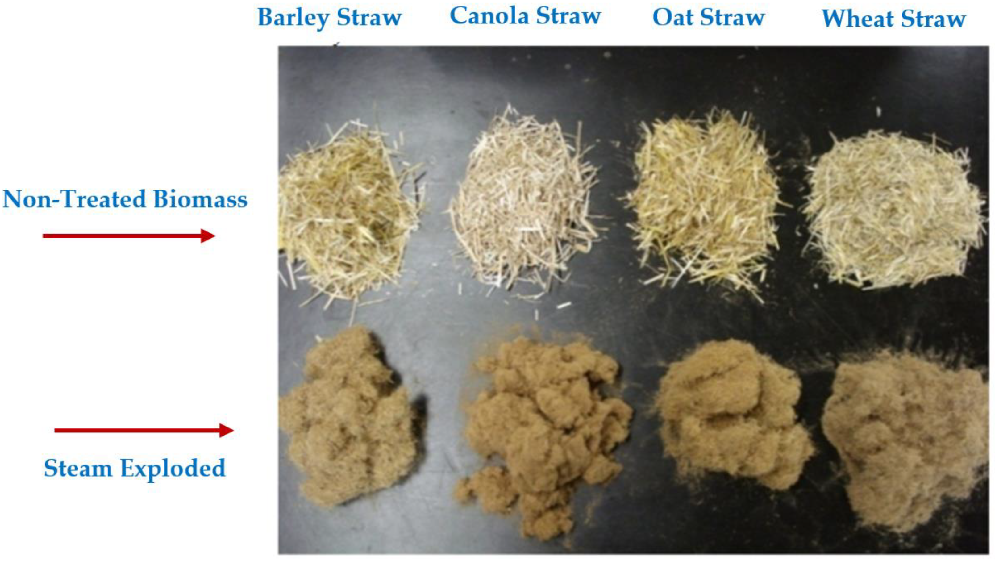 Processes 08 00799 g005 Processes 08 00799 g005