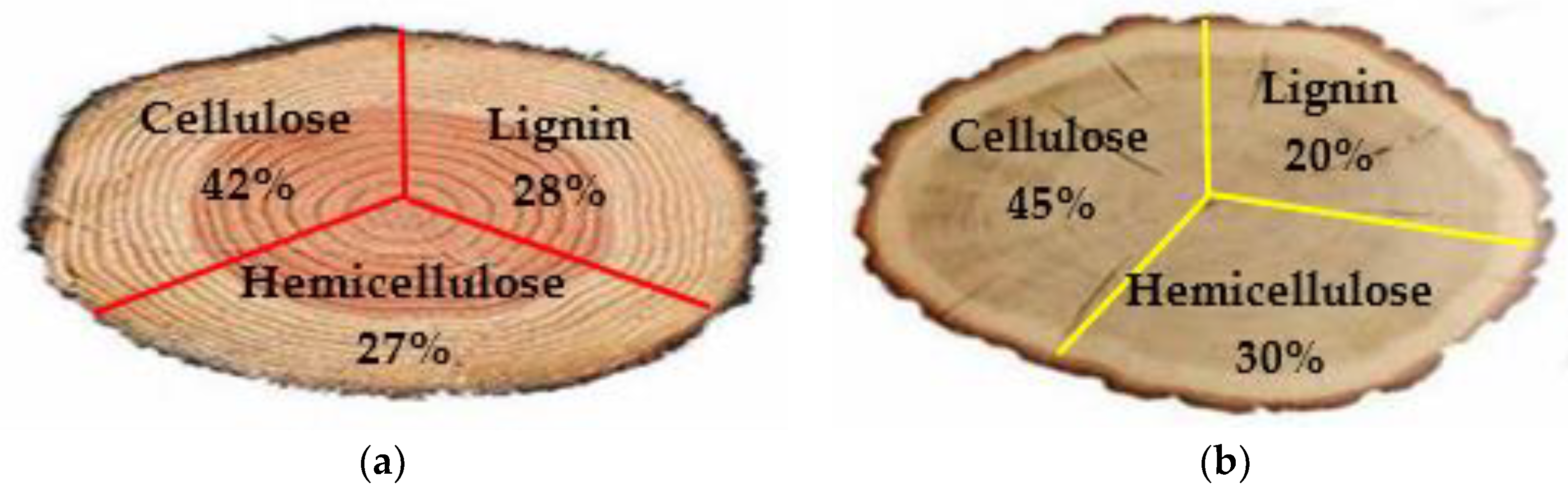 Processes 08 00799 g007 Processes 08 00799 g007